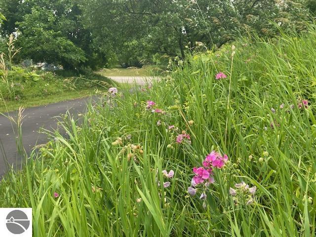Image 62