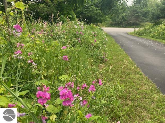 Image 63