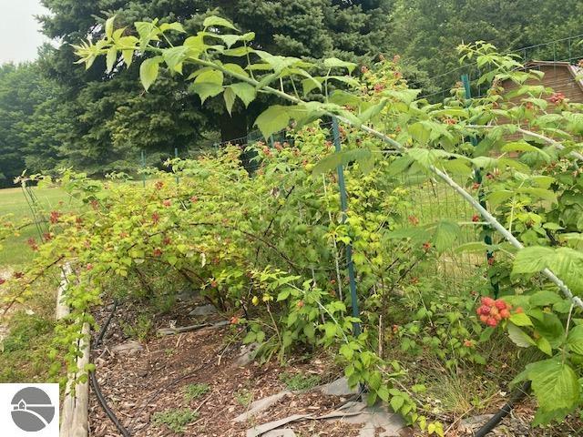 Image 64