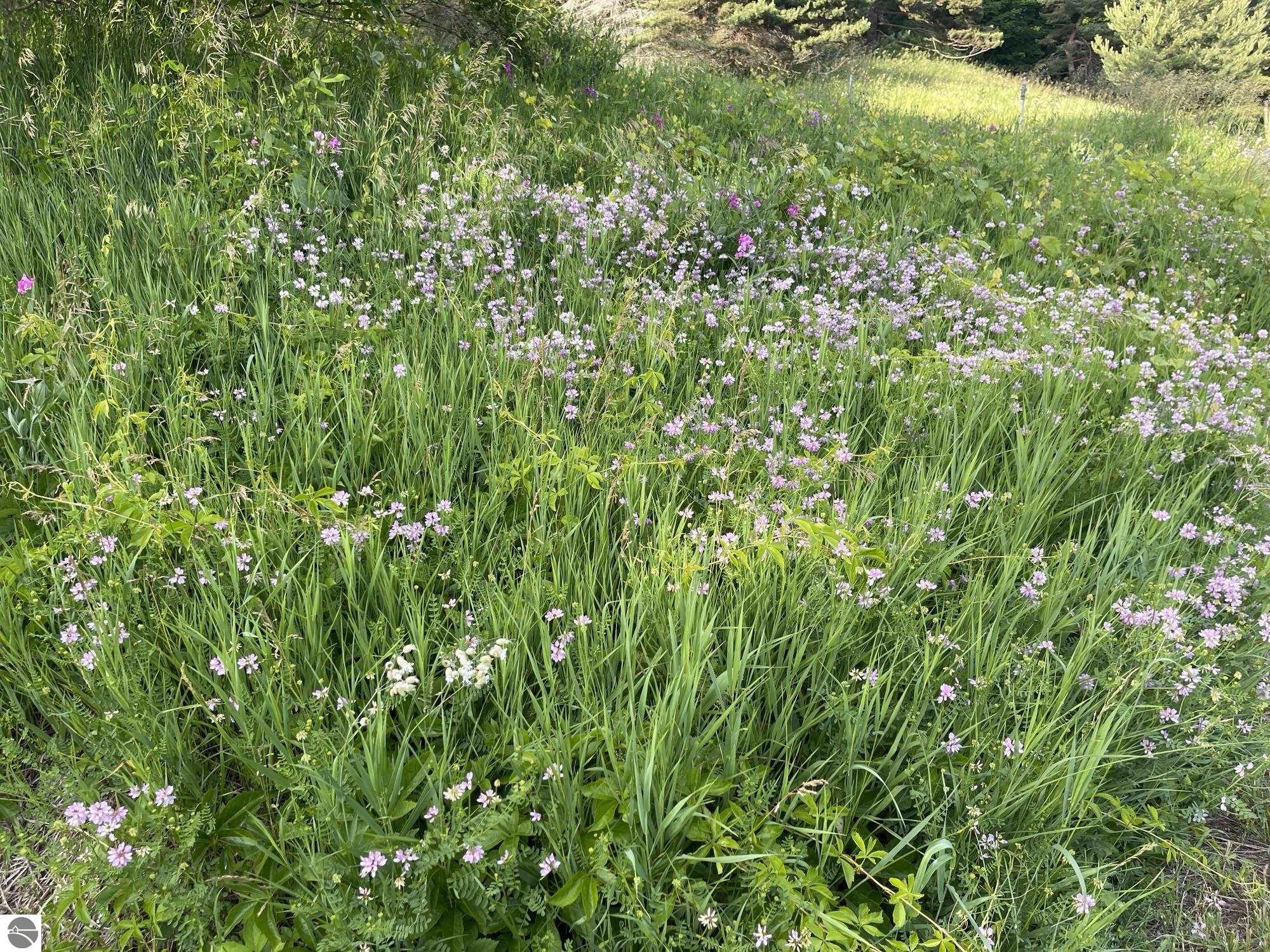 Image 68