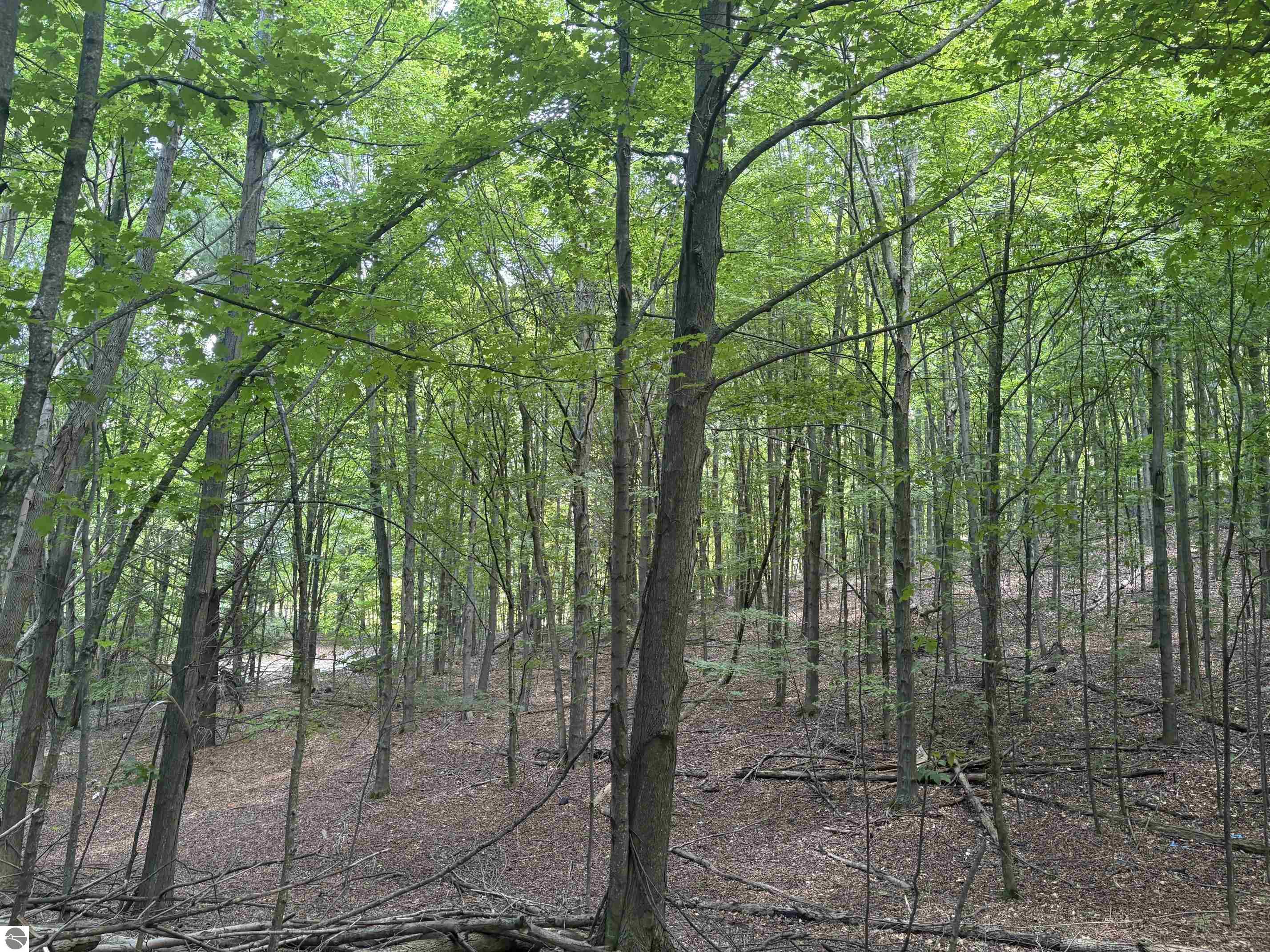 Image 15