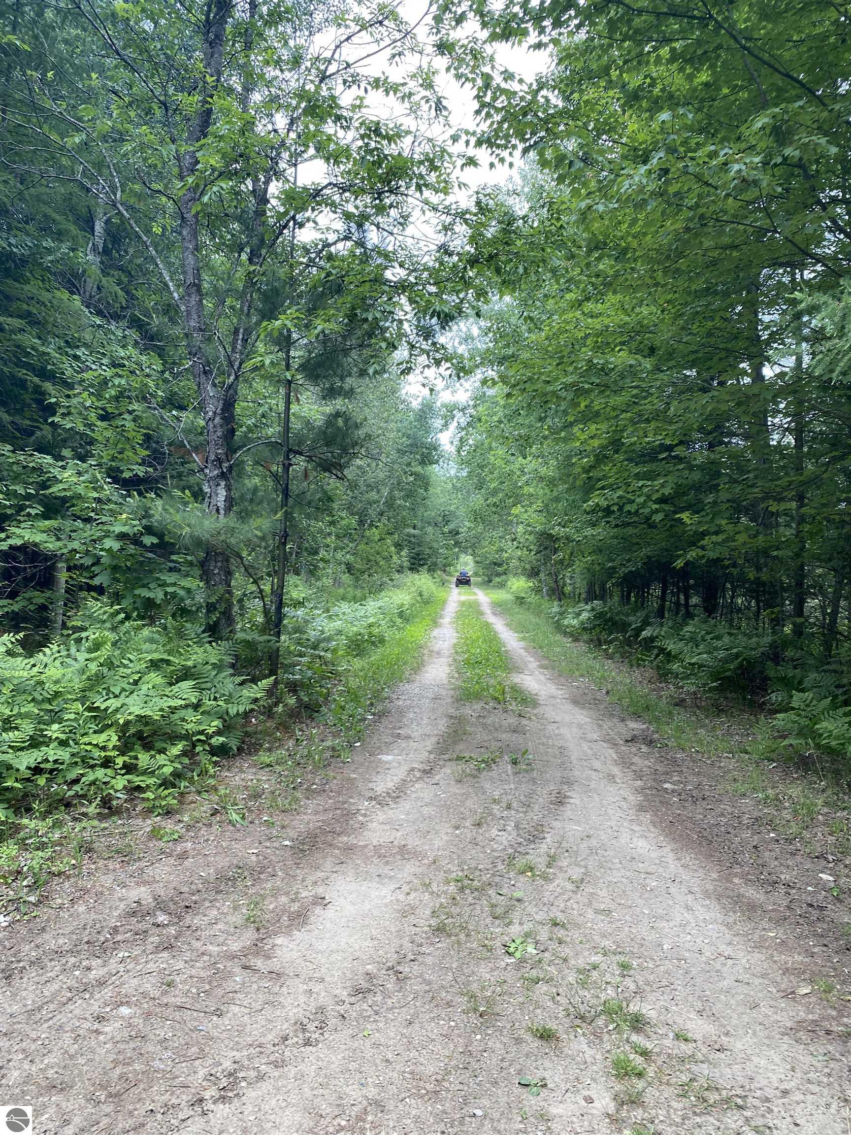 Image 45