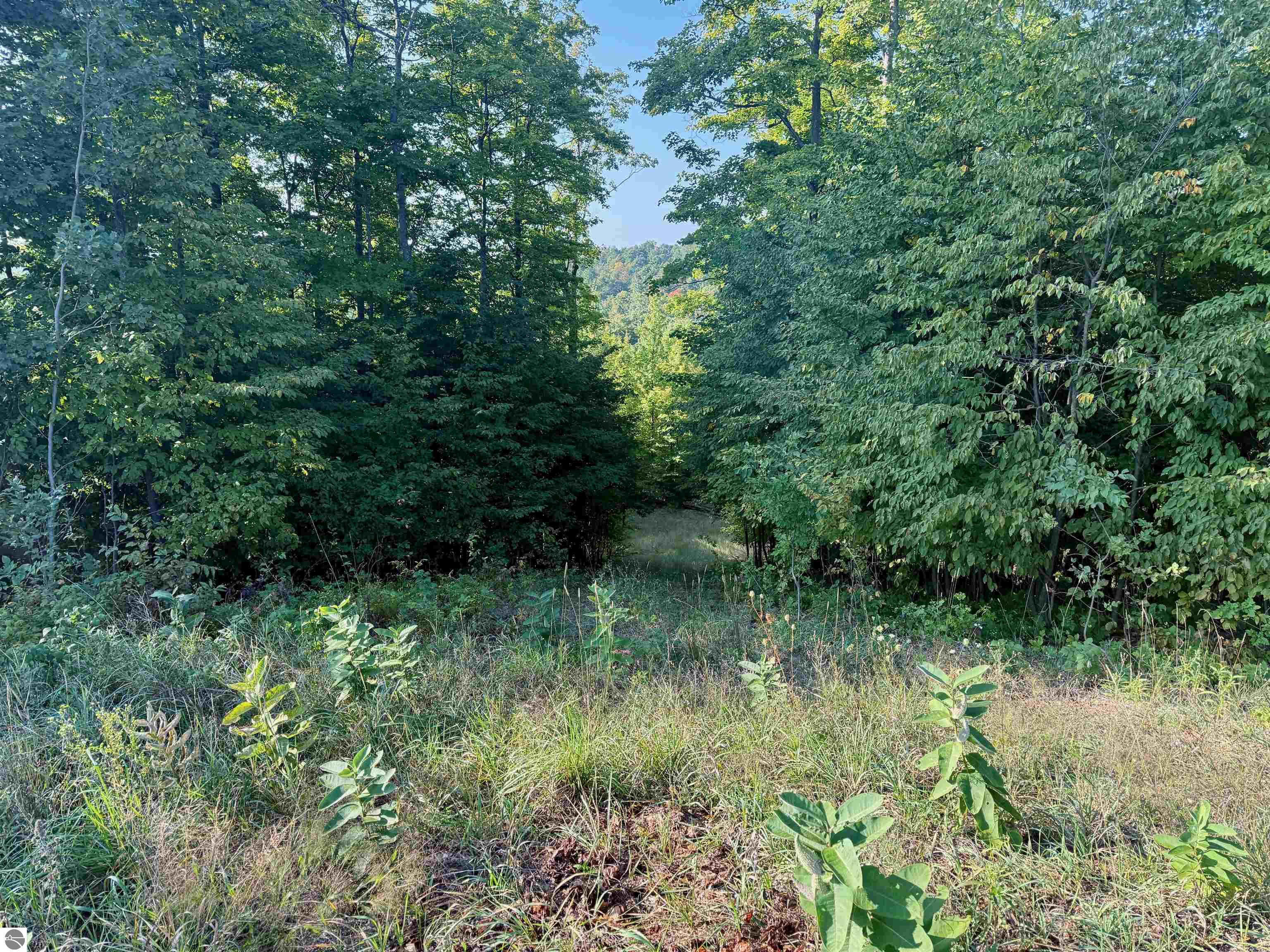 Image 13