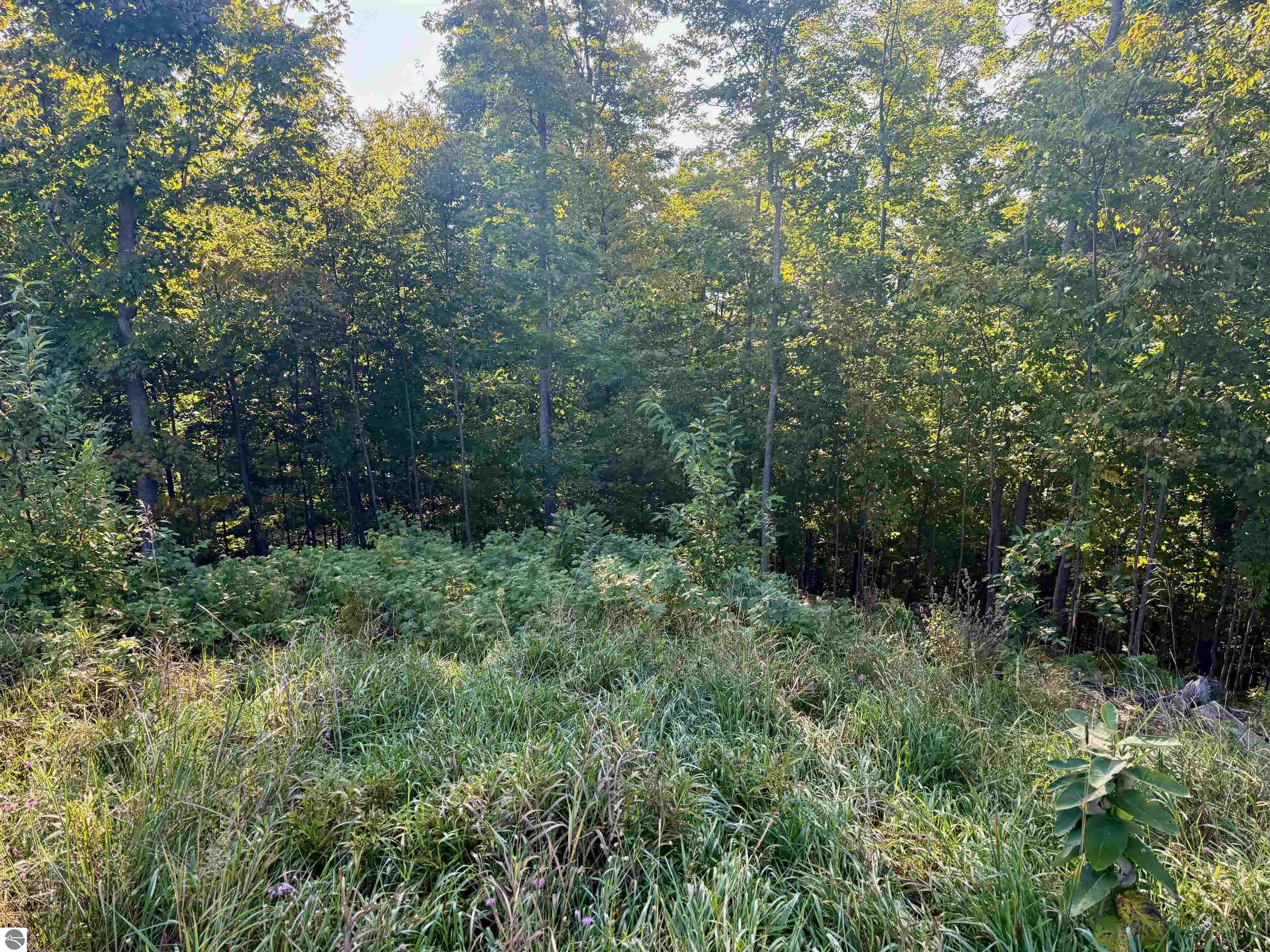 Image 14