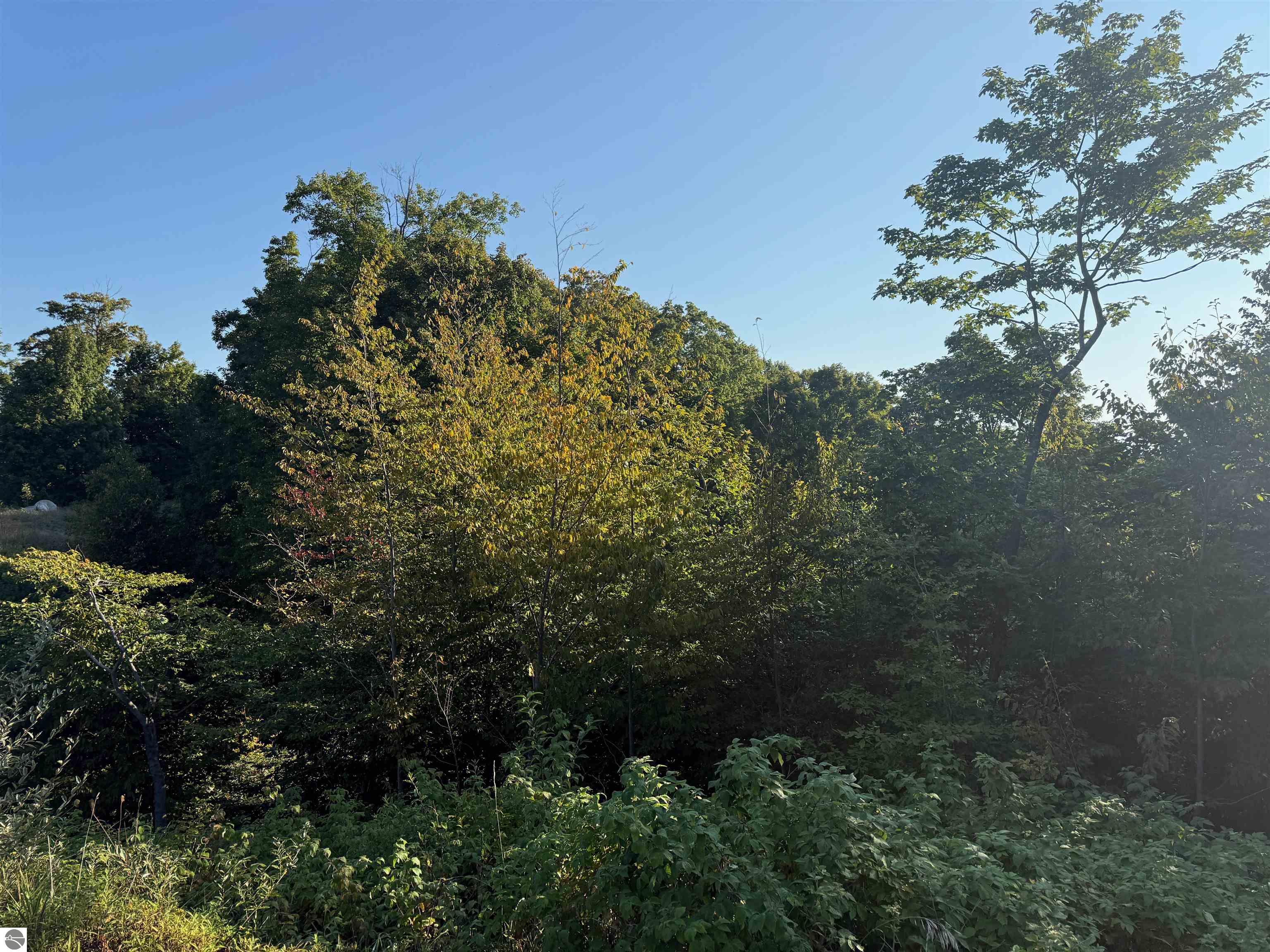 Image 15