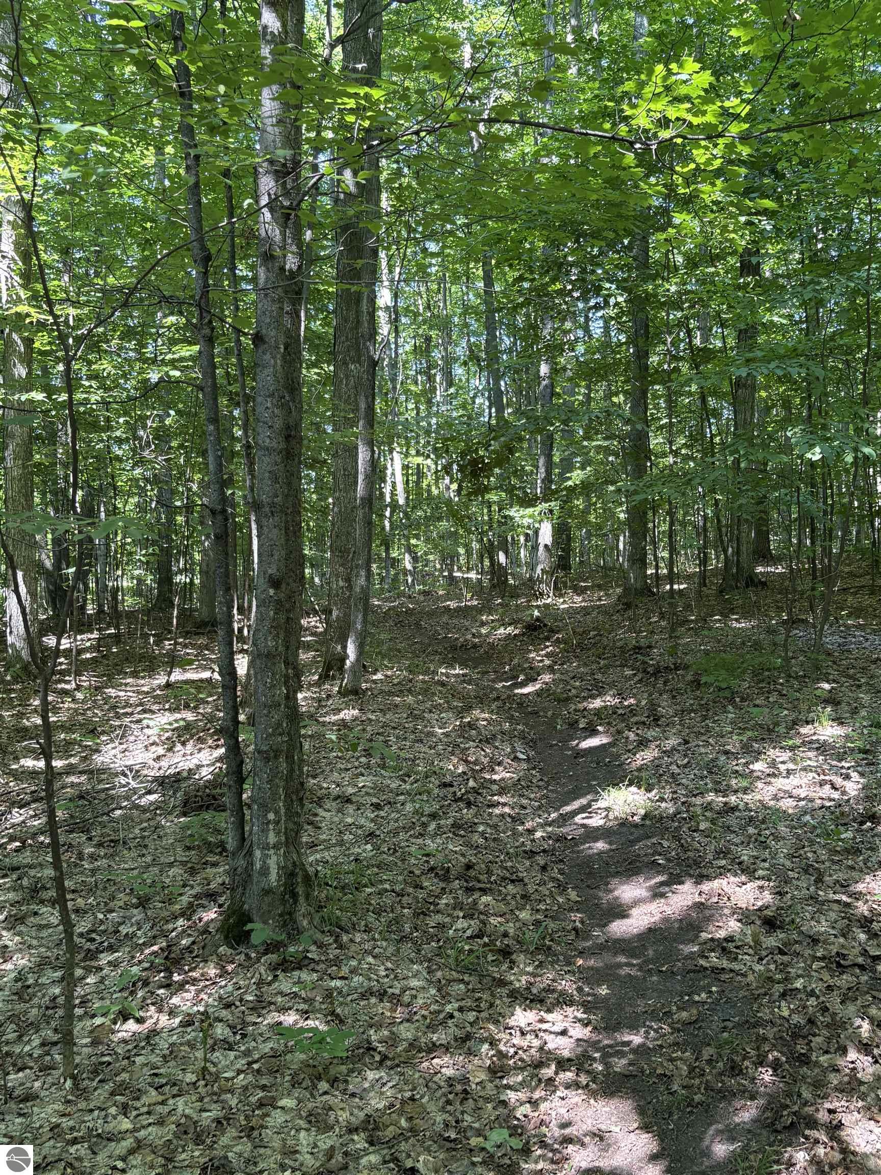 Image 13