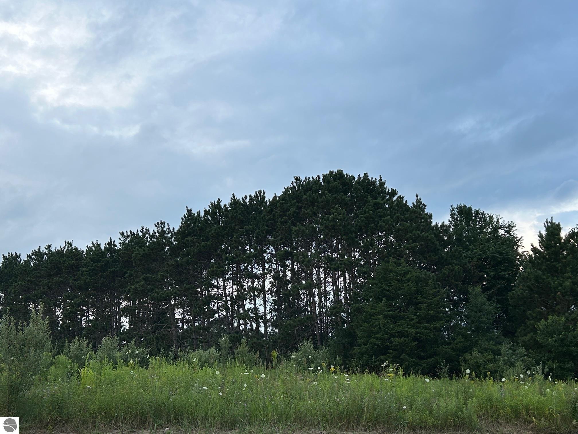 Image 13