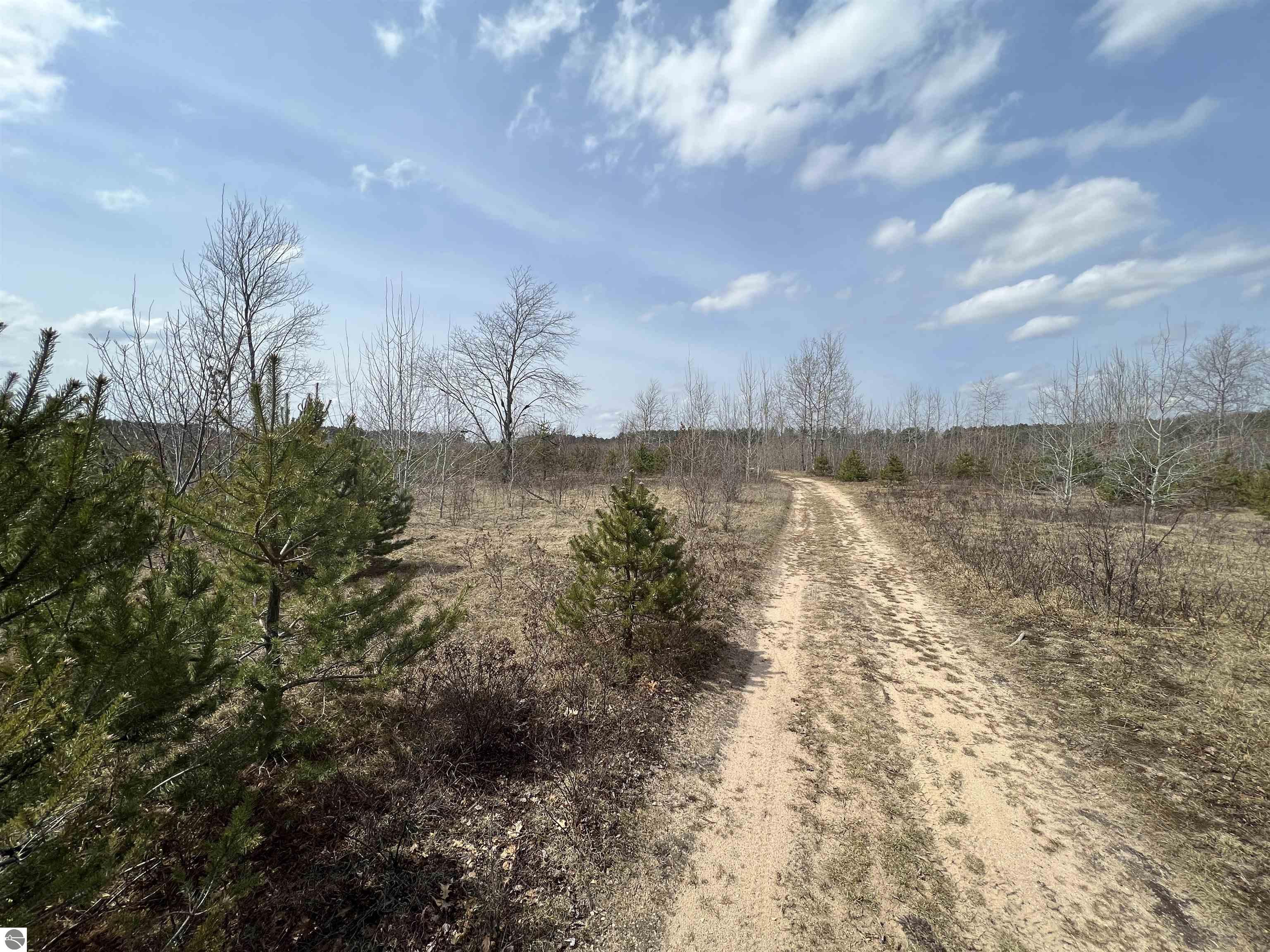Image 14