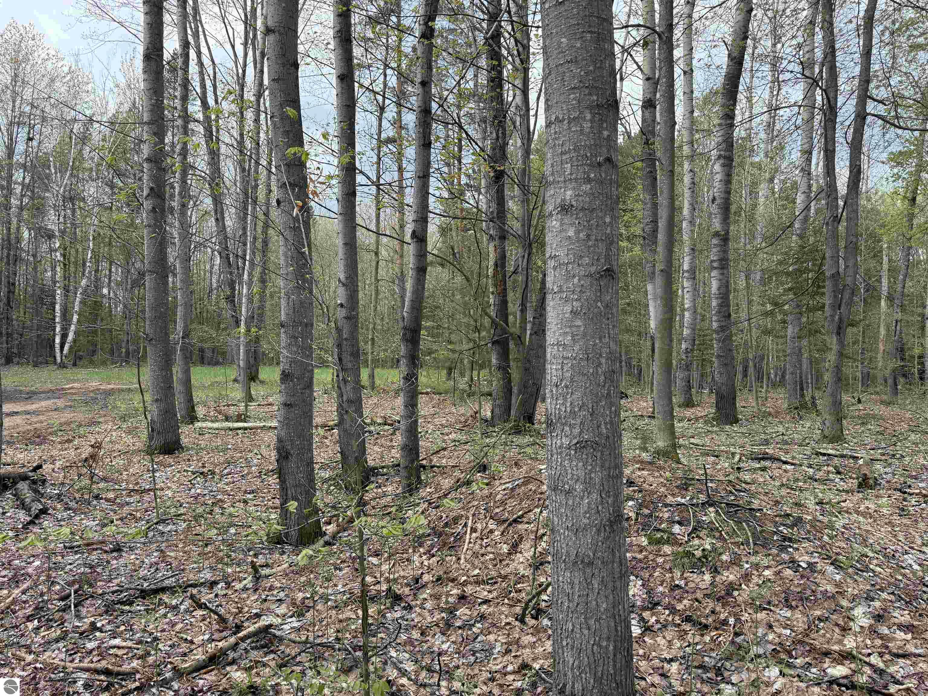 Image 35