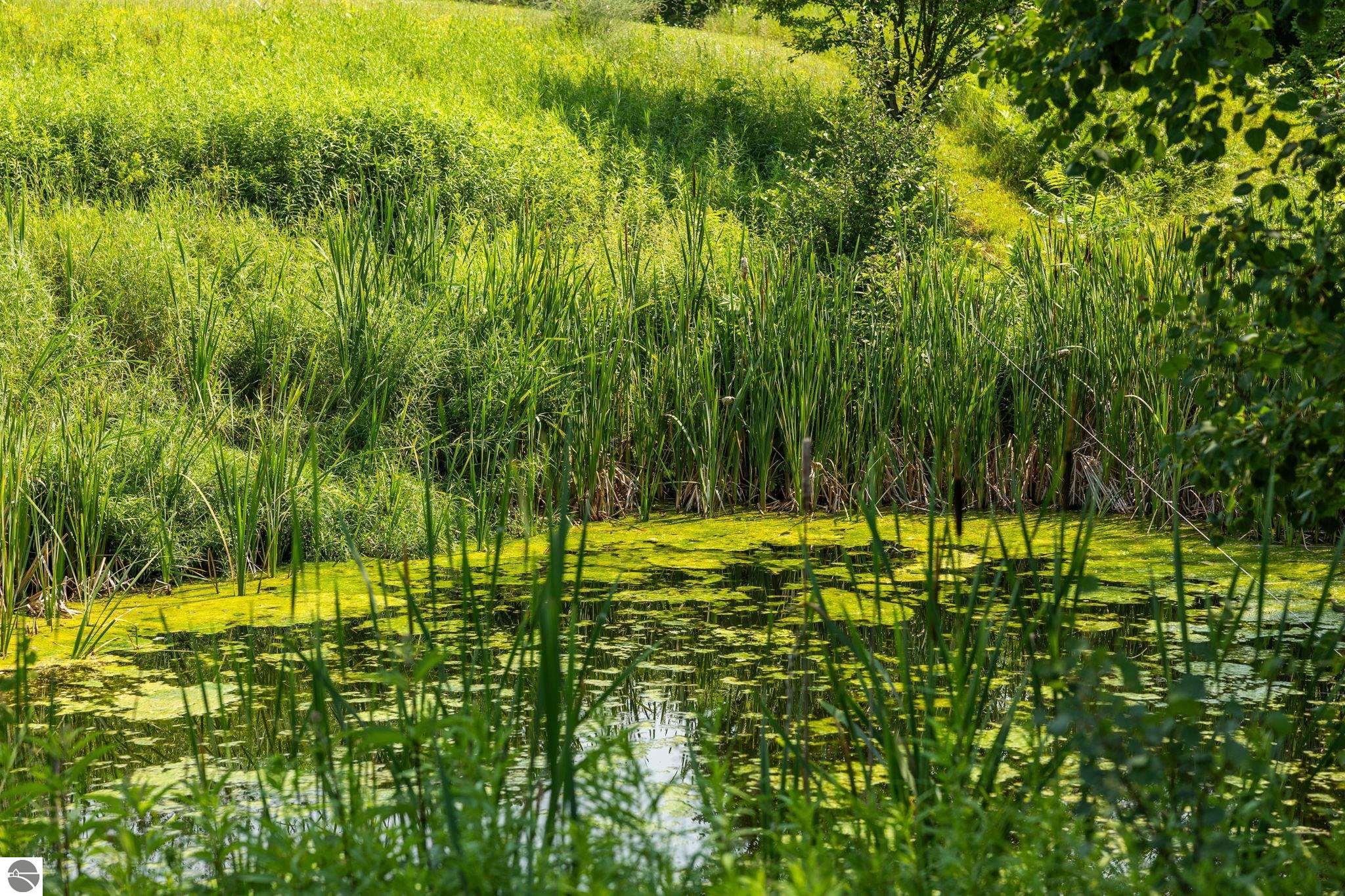 Image 73