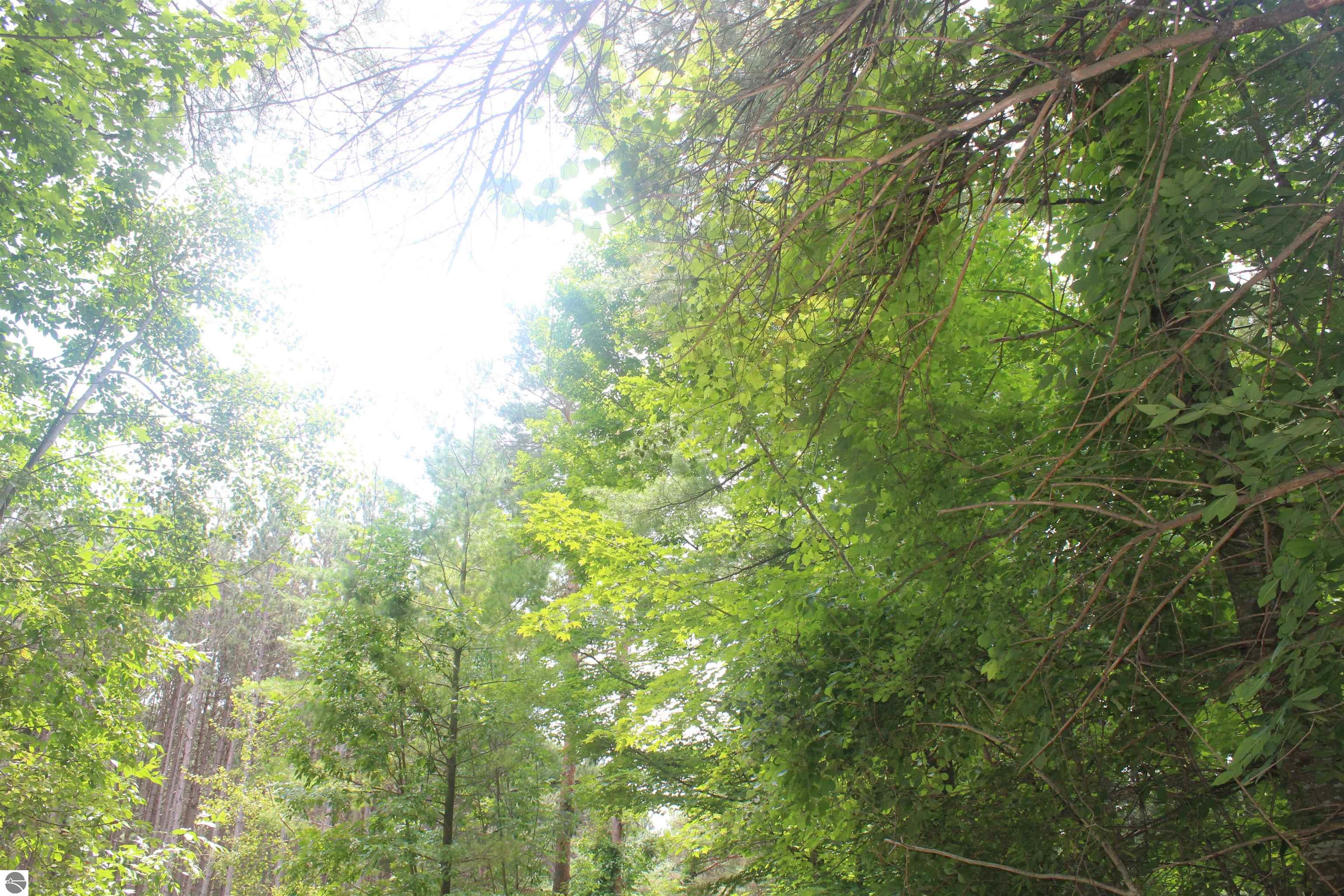 Image 13