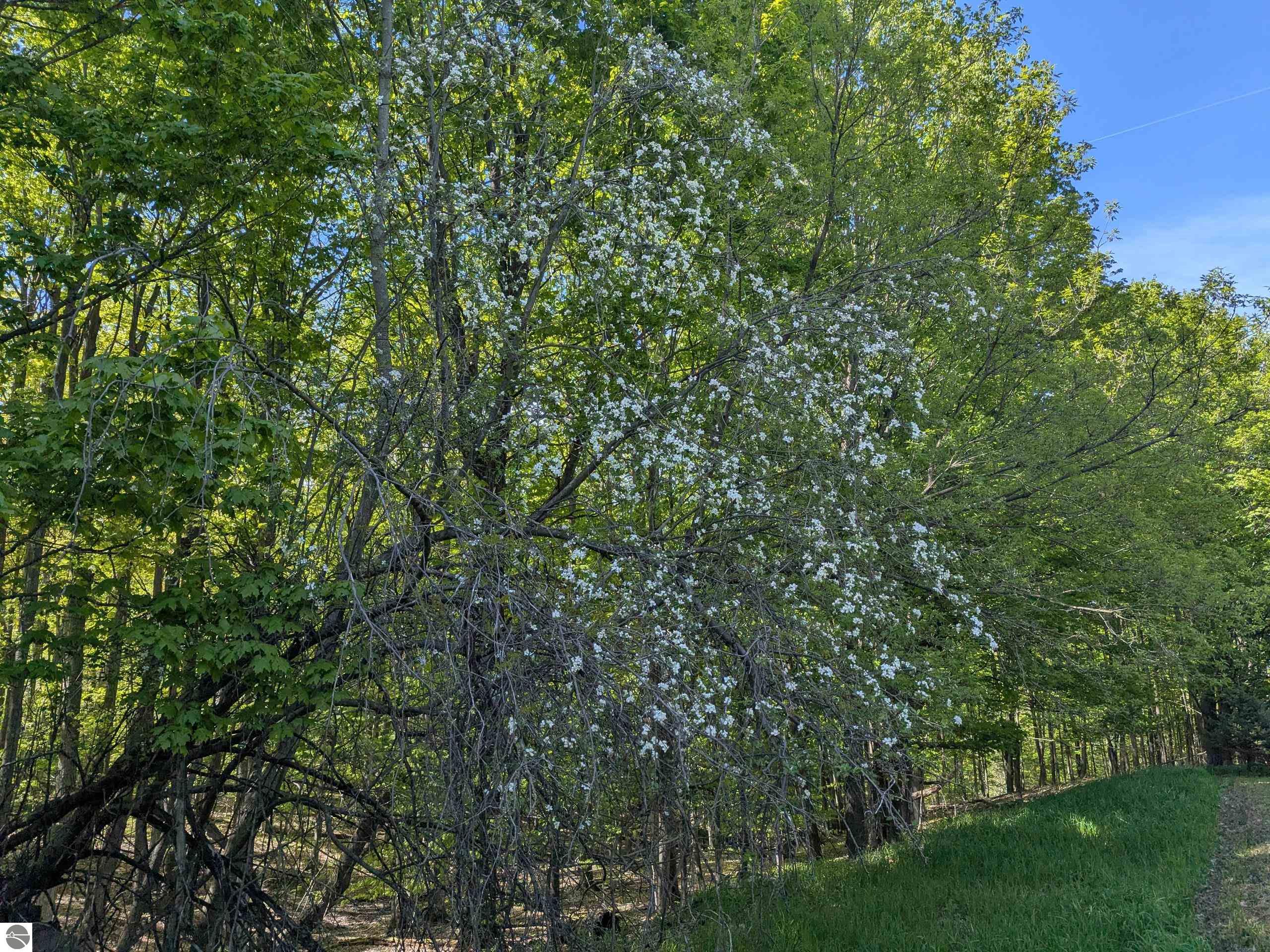 Image 14