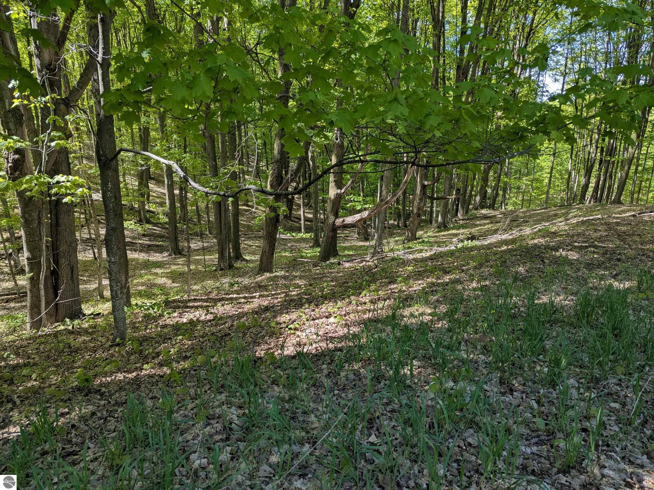 Image 19