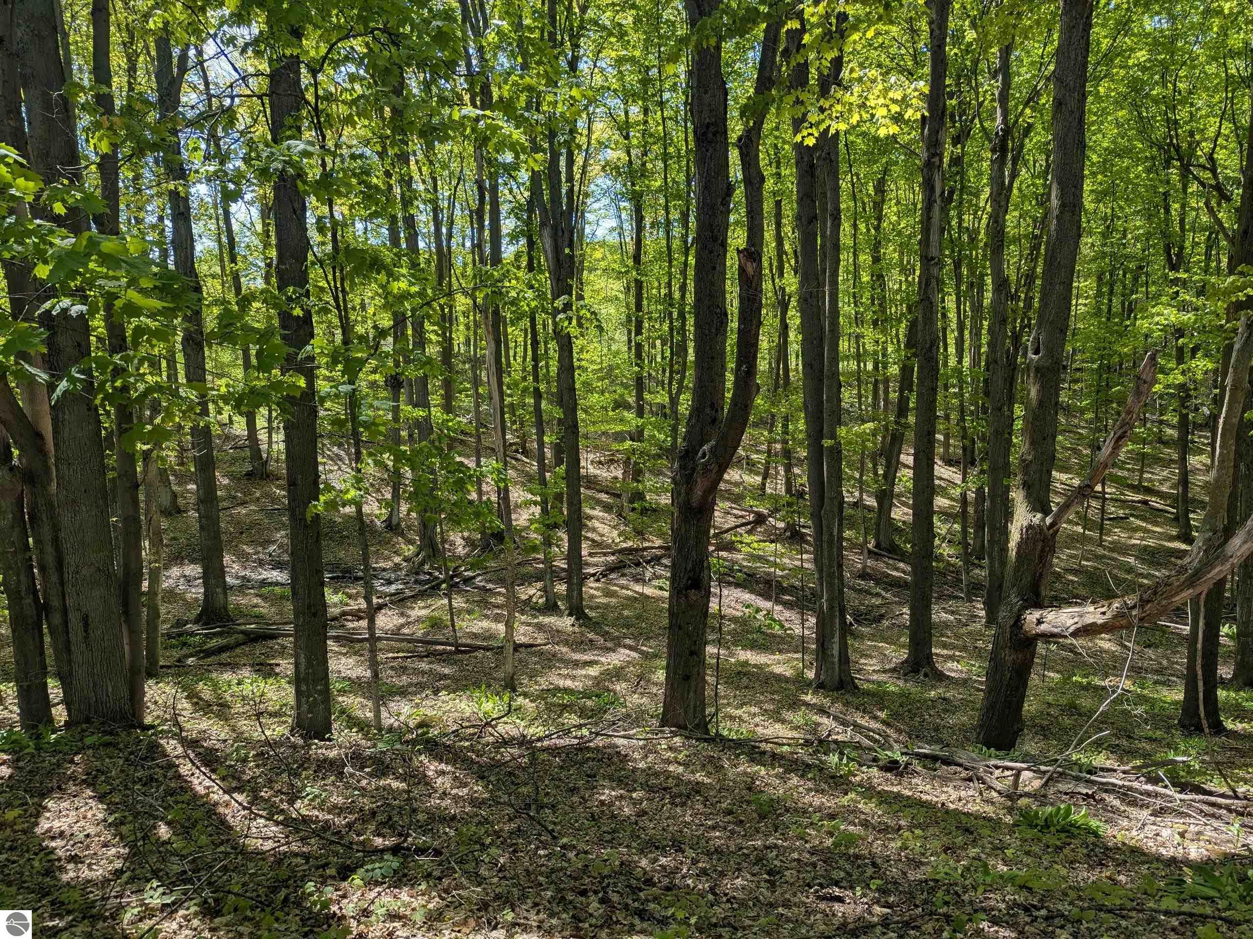 Image 23