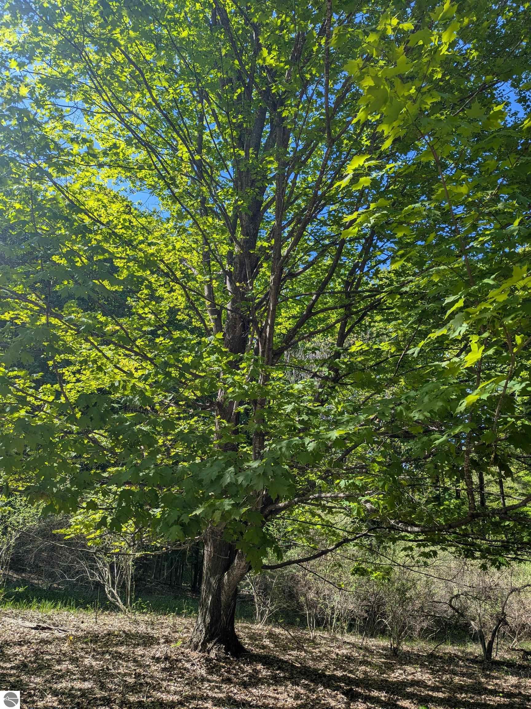Image 24