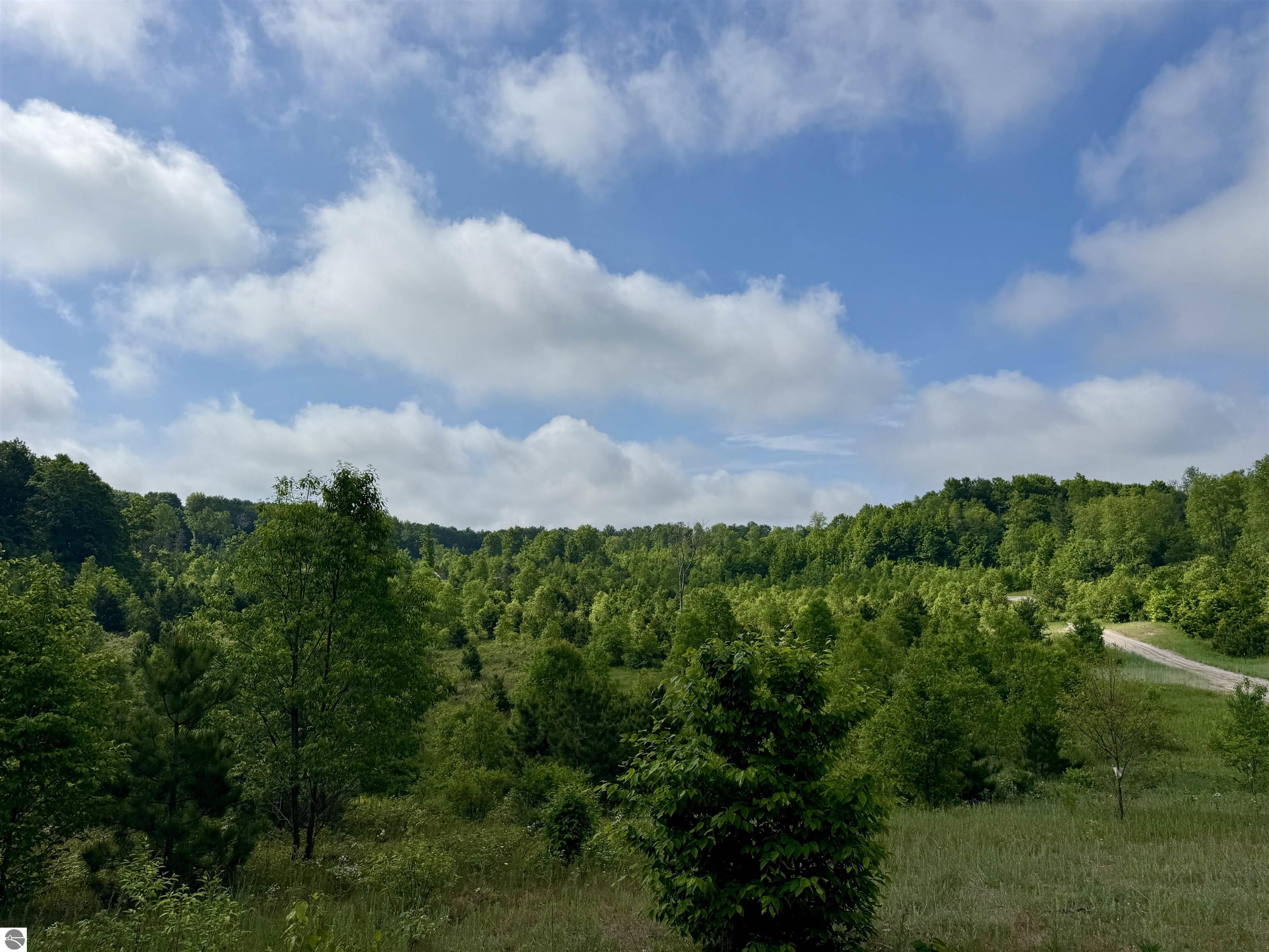 Image 33