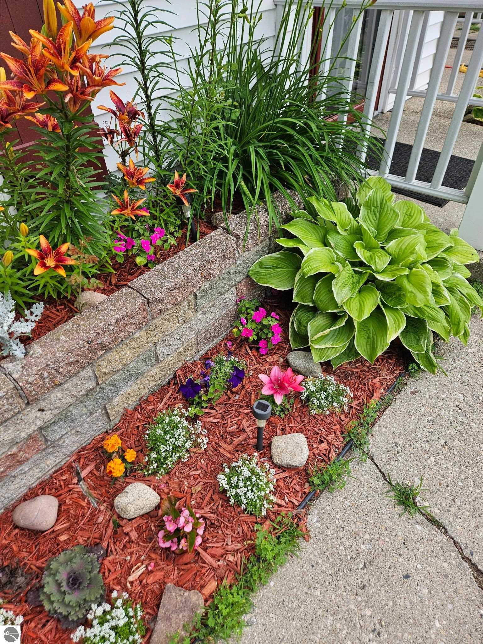 Image 49