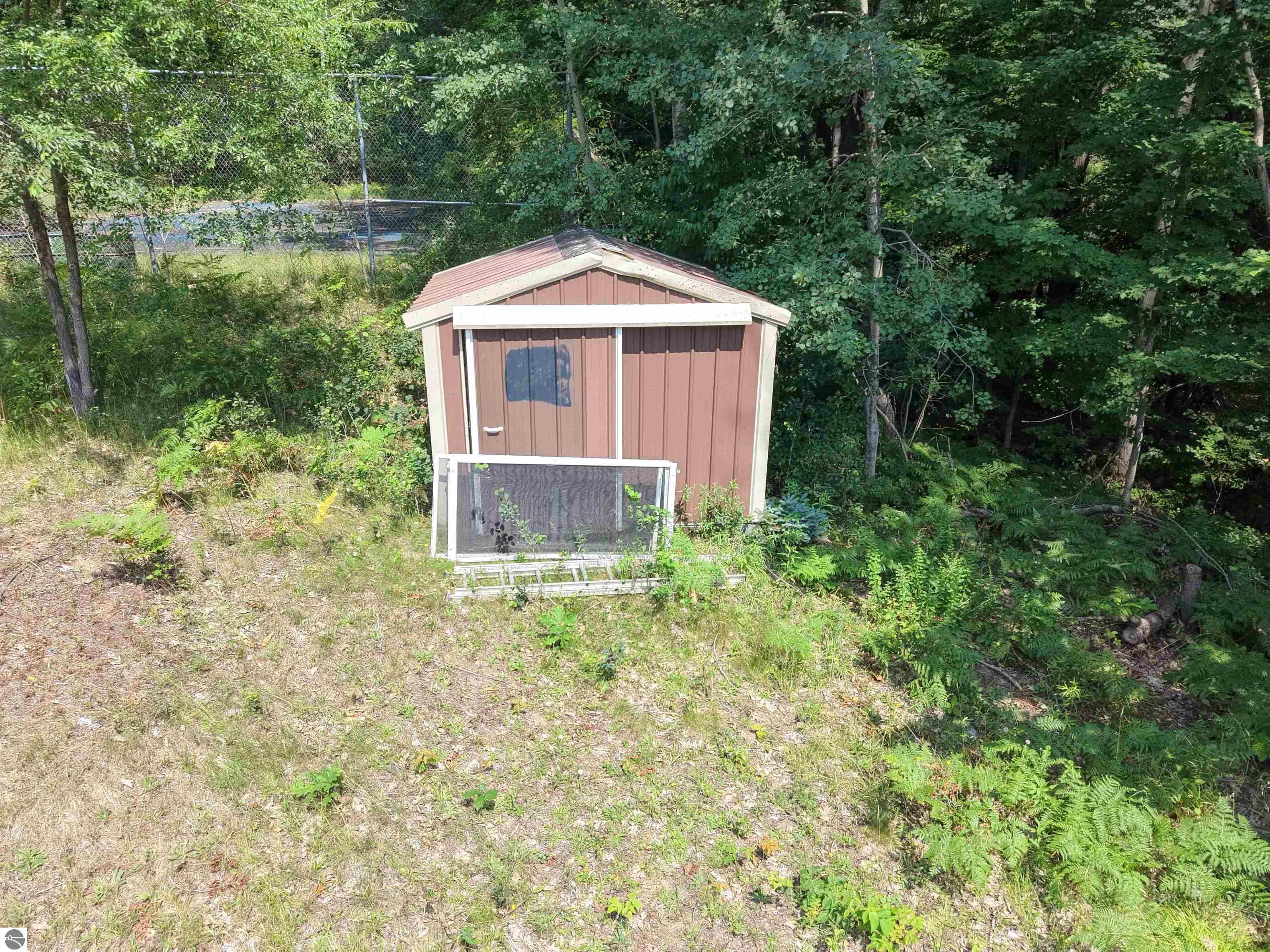 Image 46