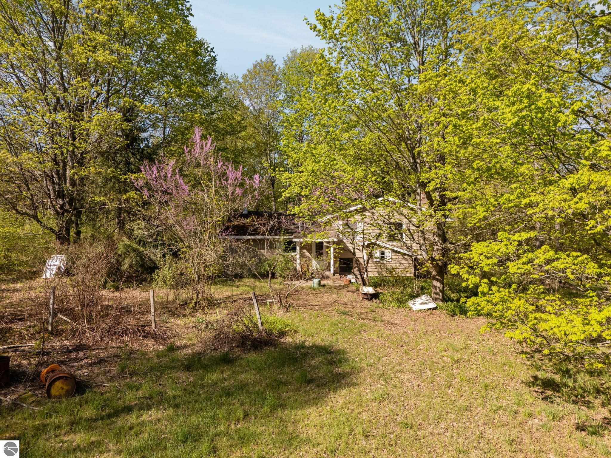 Image 19