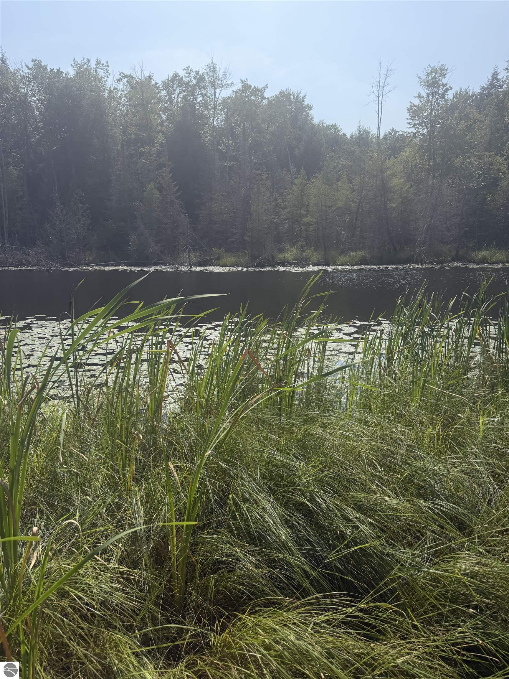 Image 18