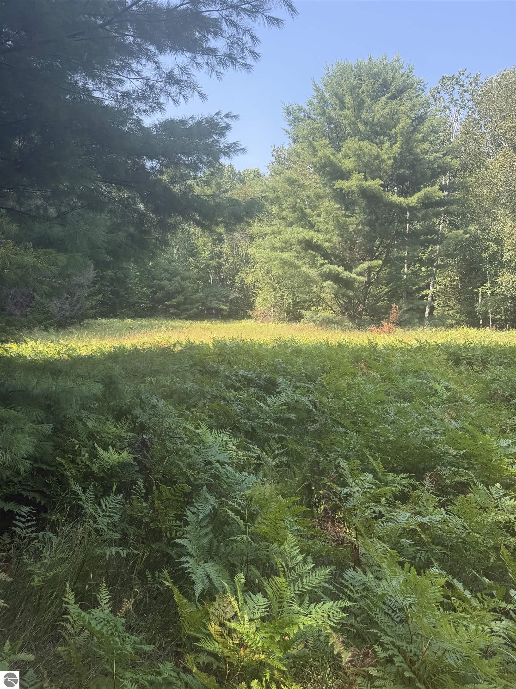 Image 19