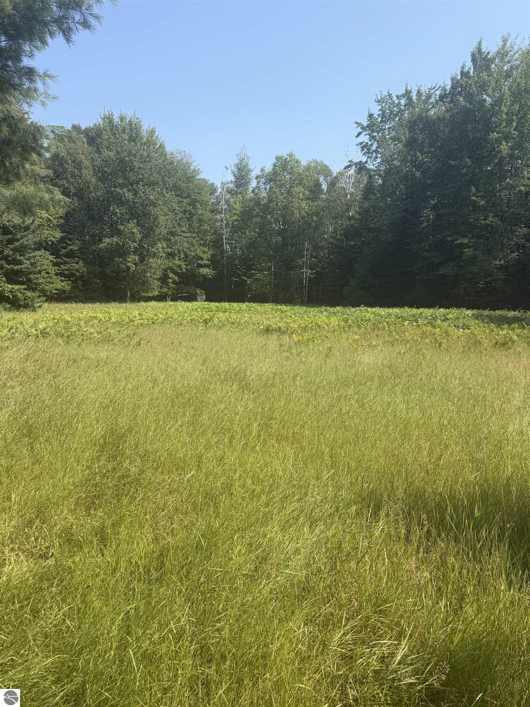 Image 23