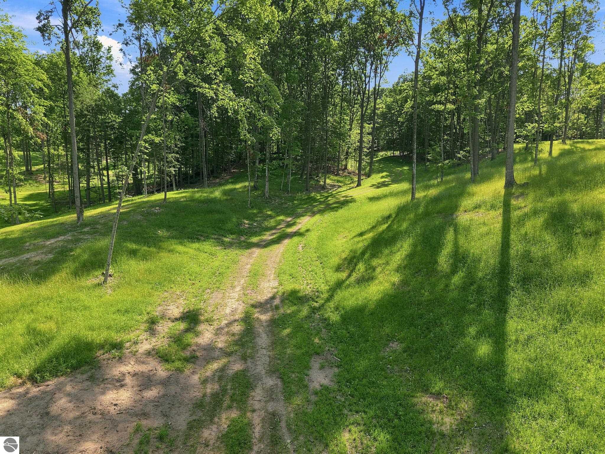 Image 14