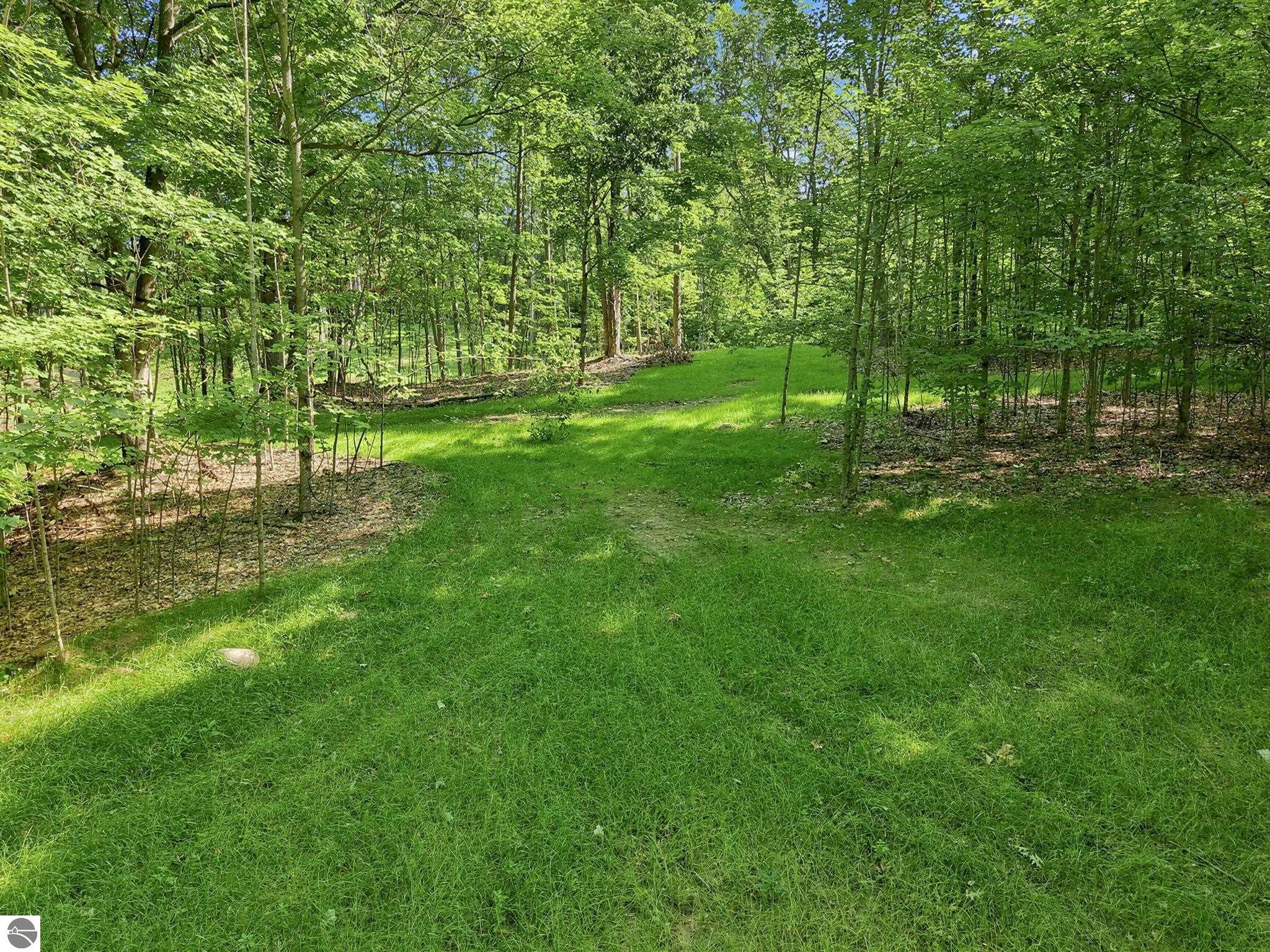 Image 19