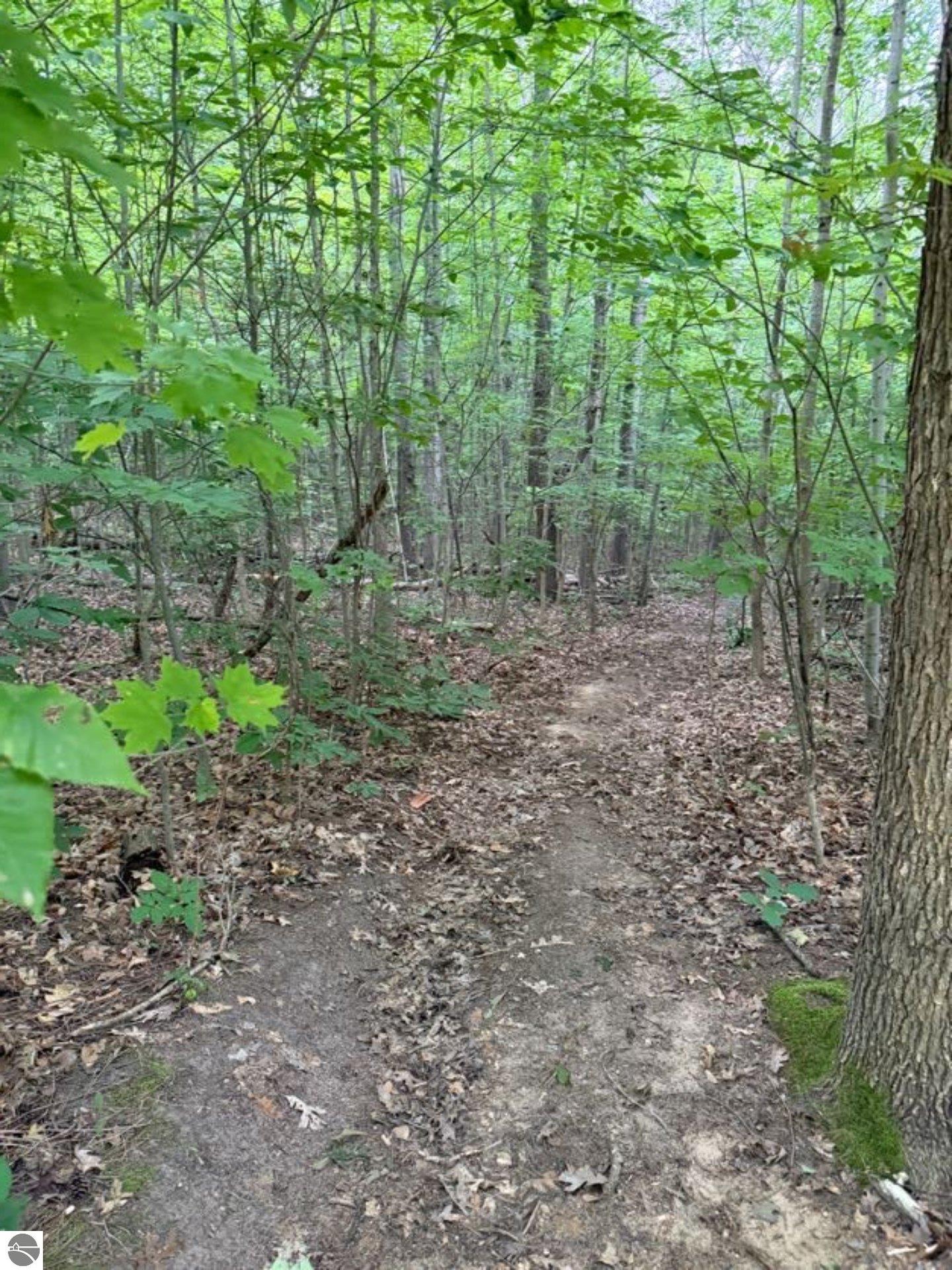 Image 13