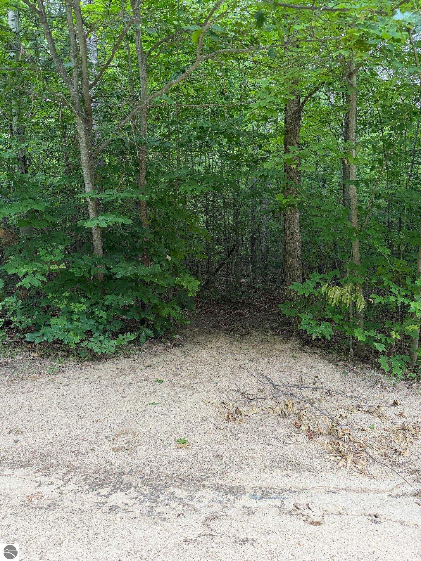Image 15
