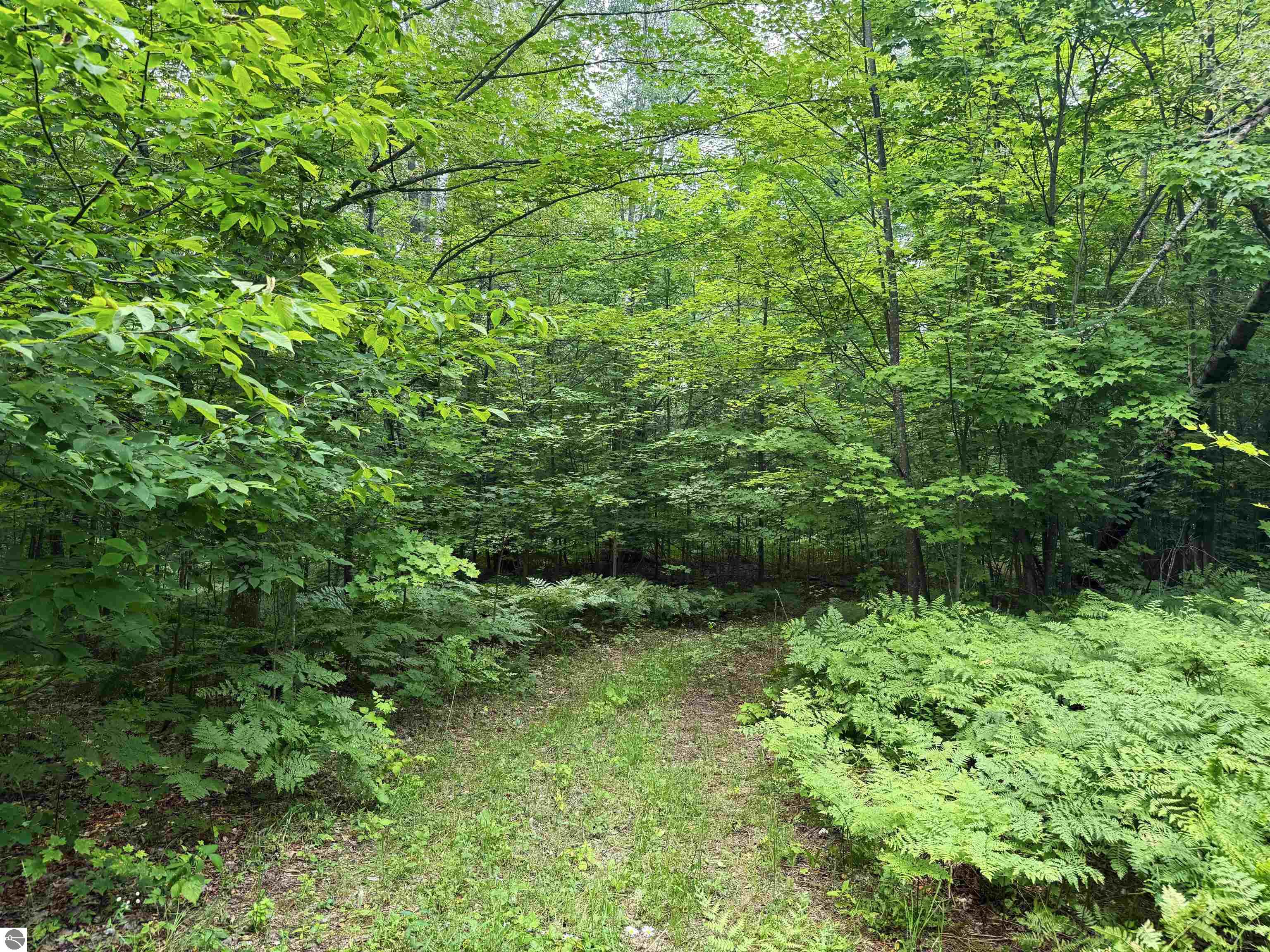 Image 13