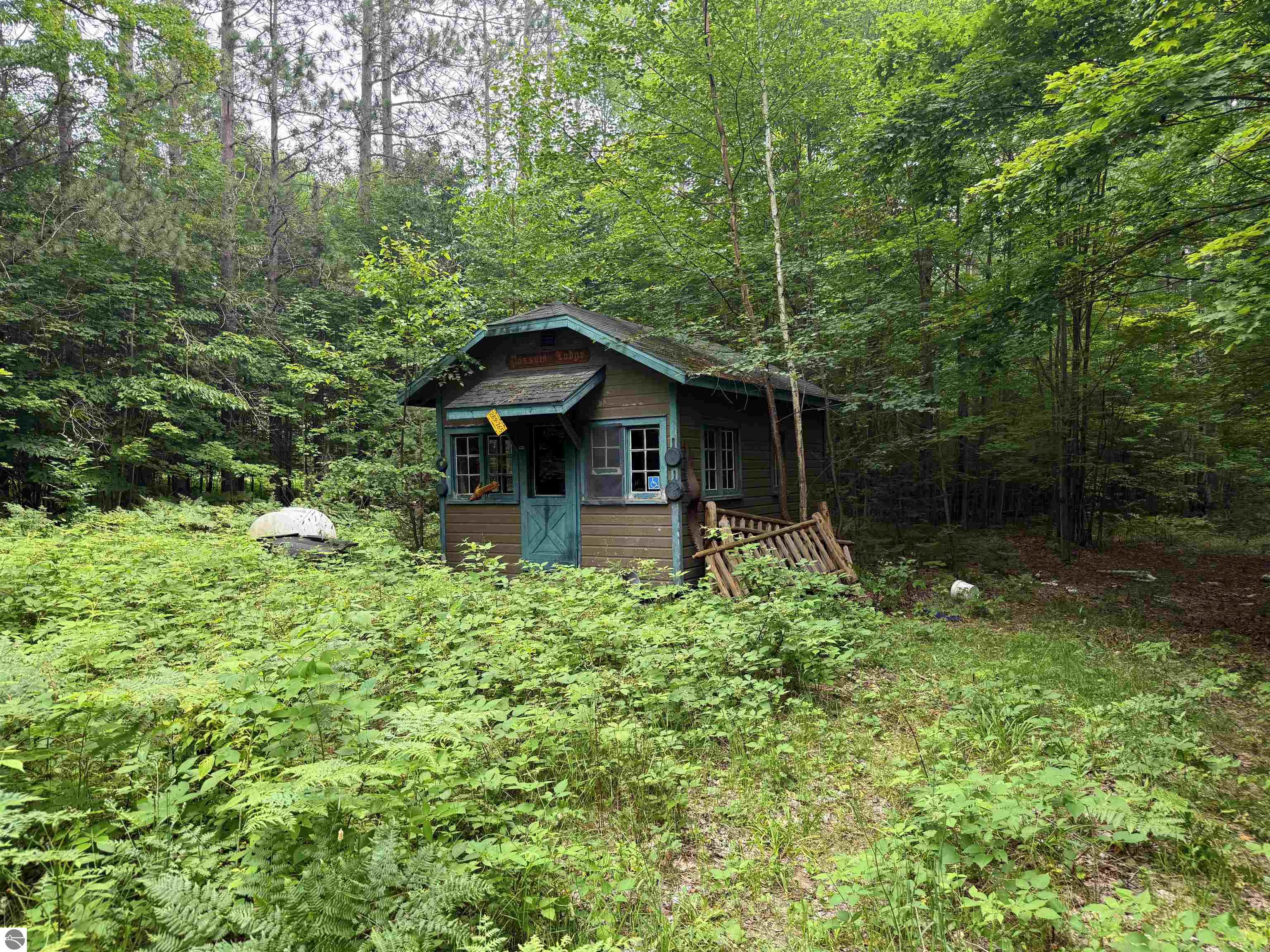 Image 15
