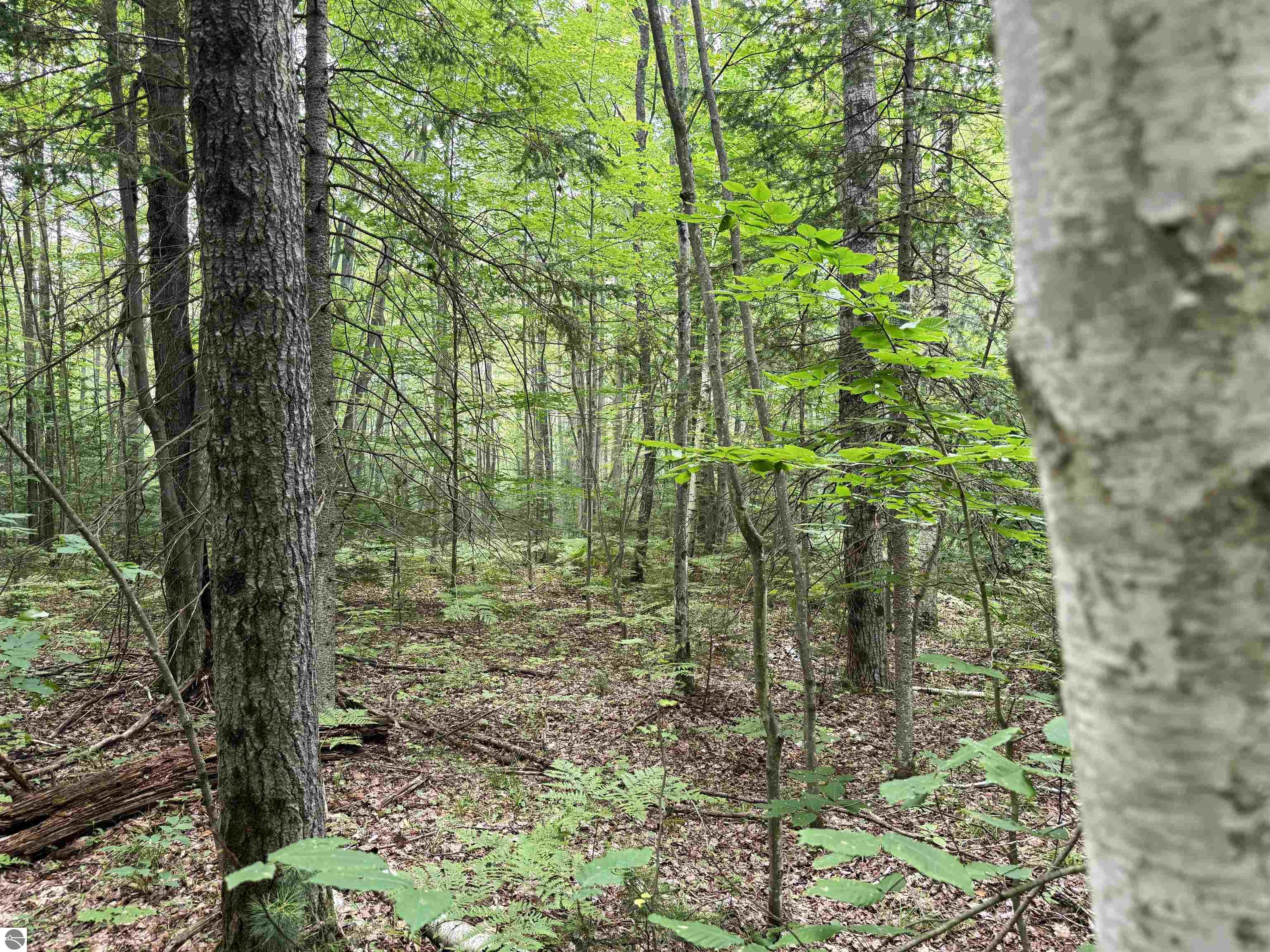 Image 22