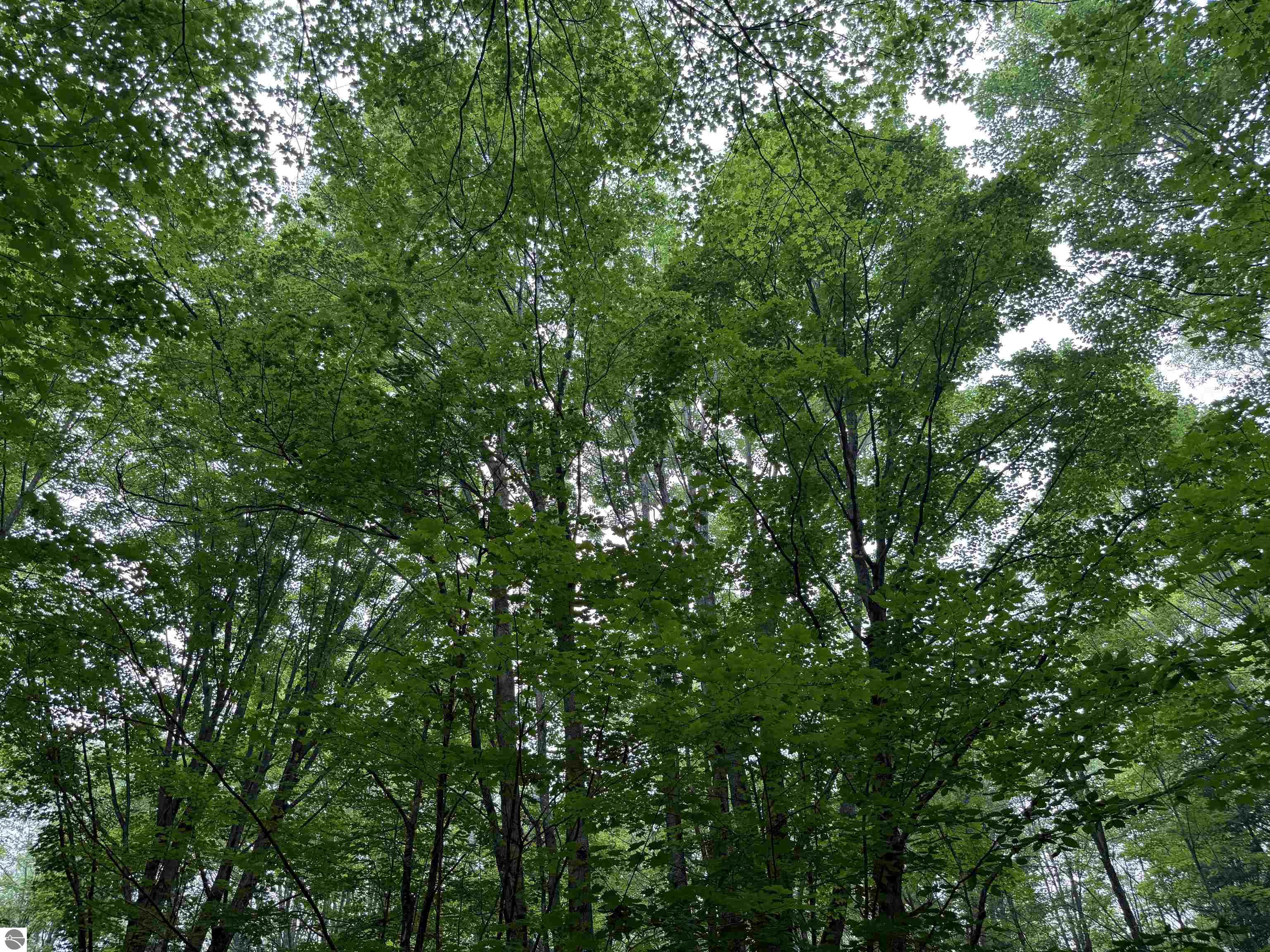 Image 23