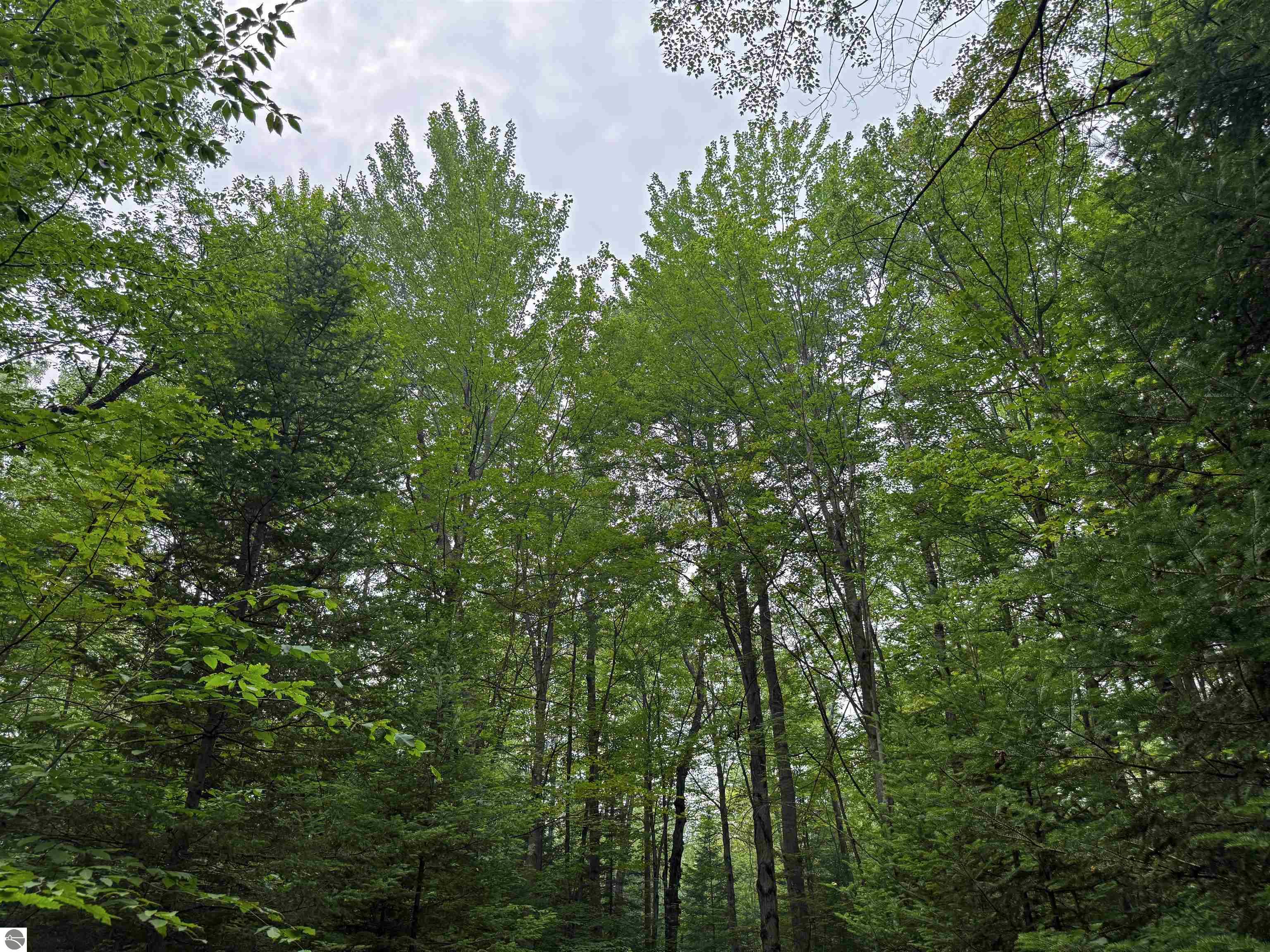 Image 27
