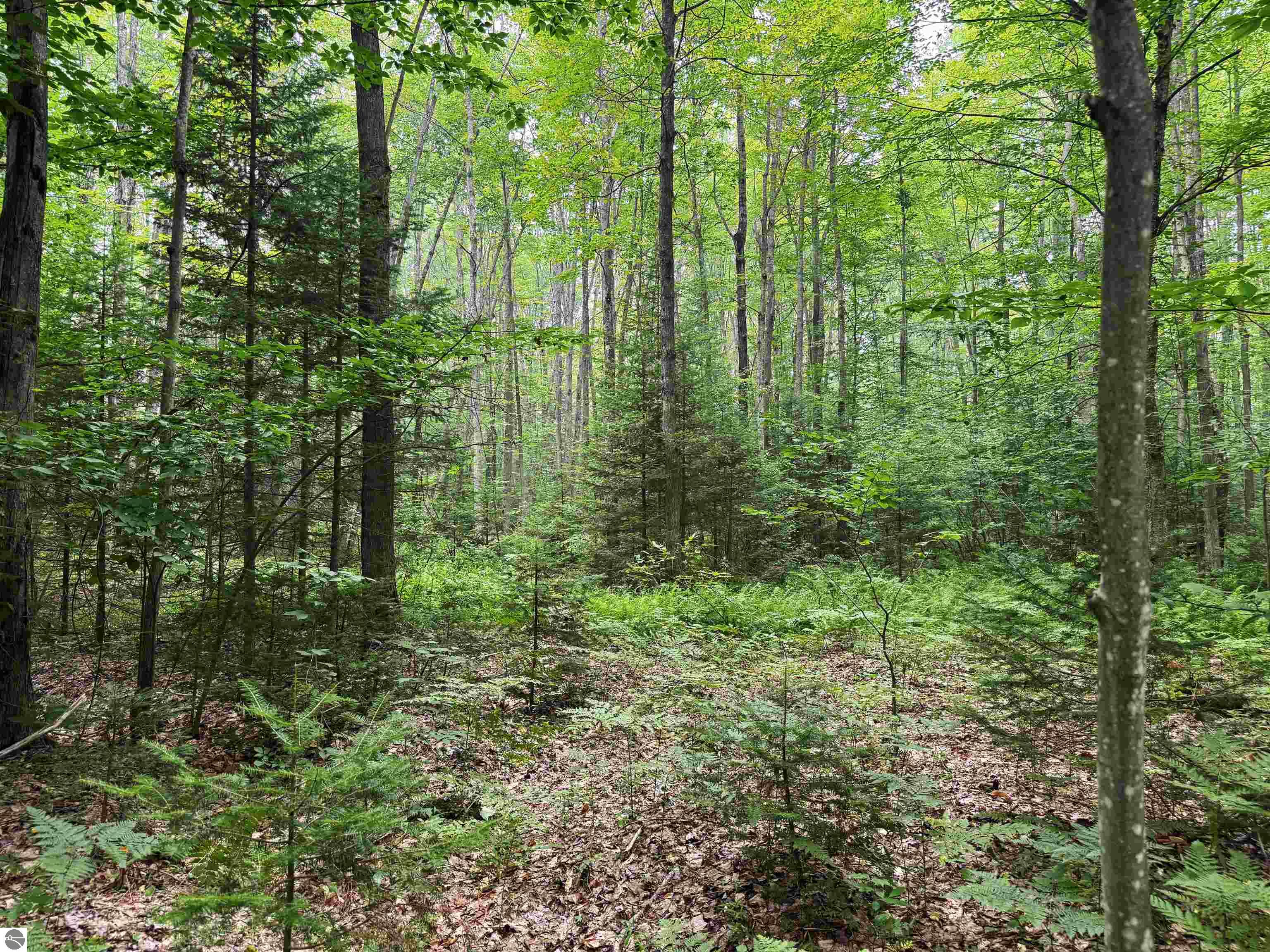 Image 35