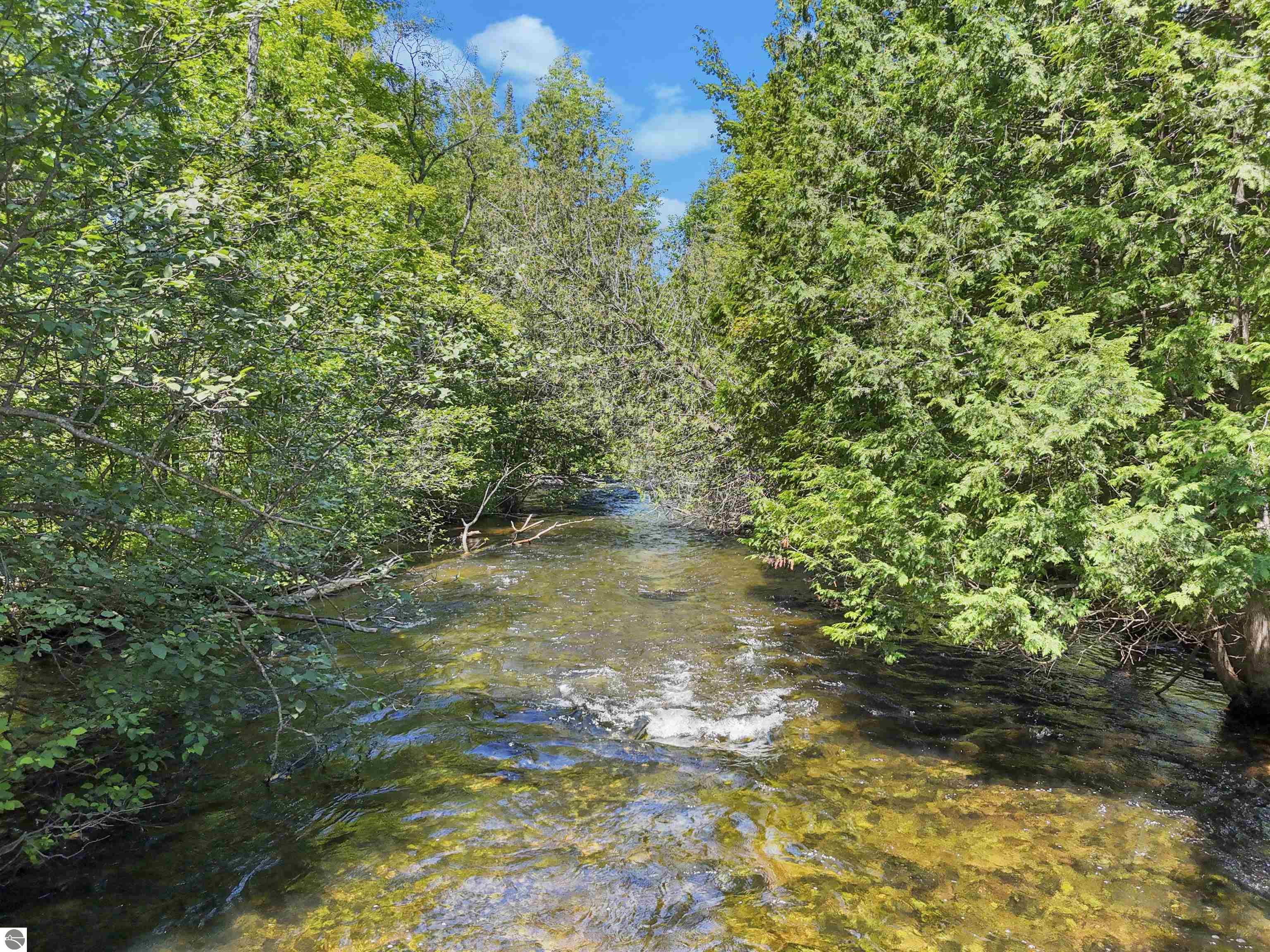 Image 29