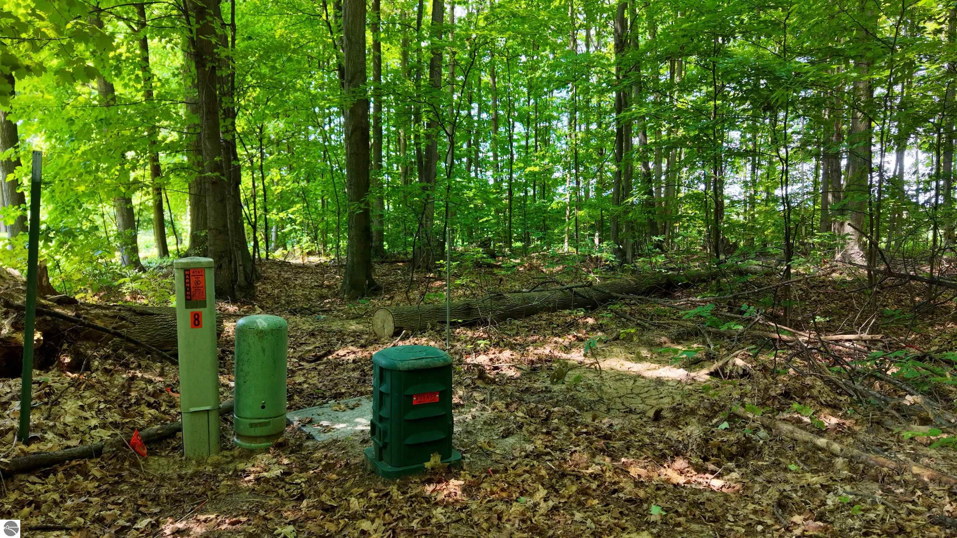 Image 14