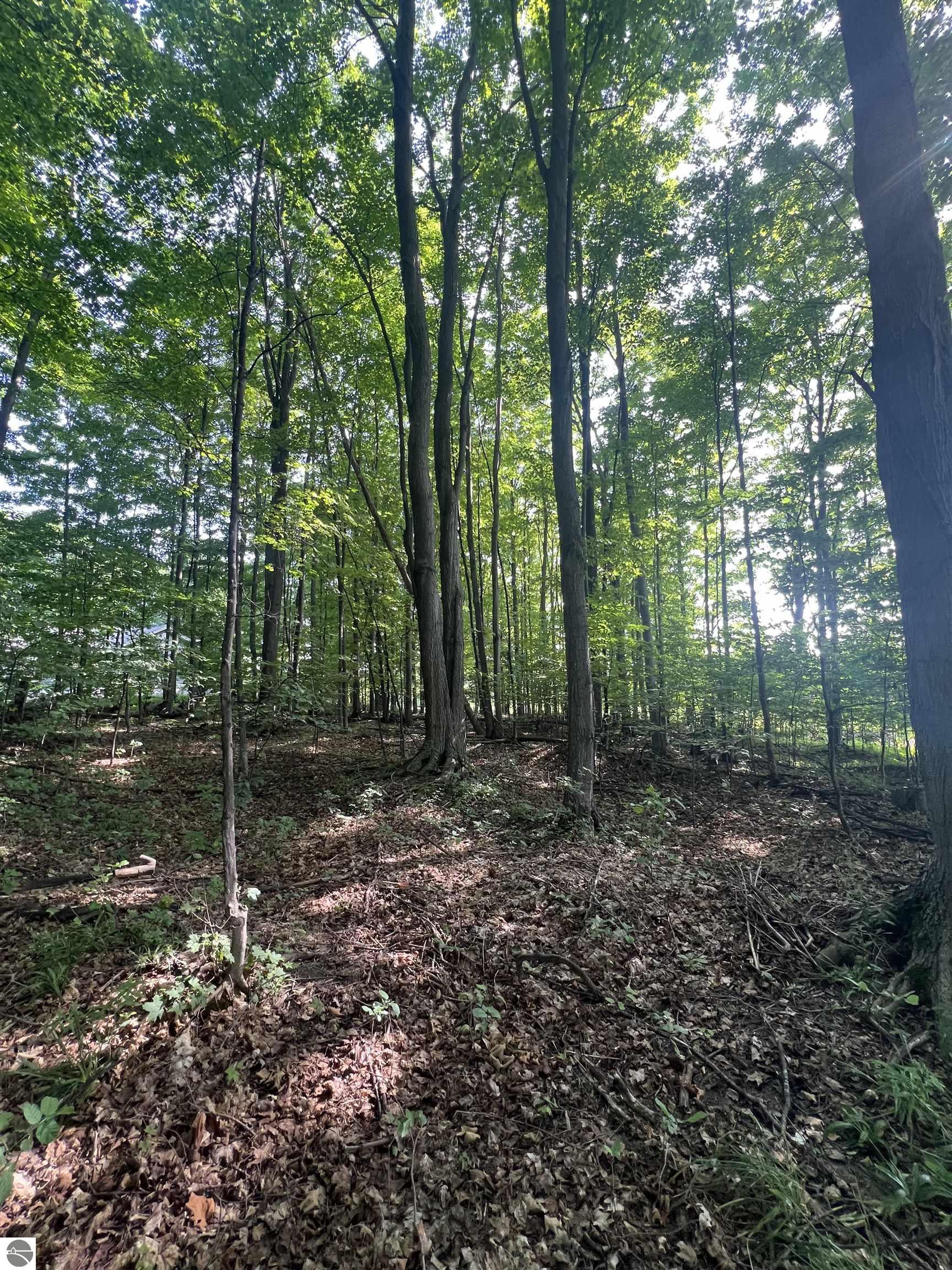Image 15