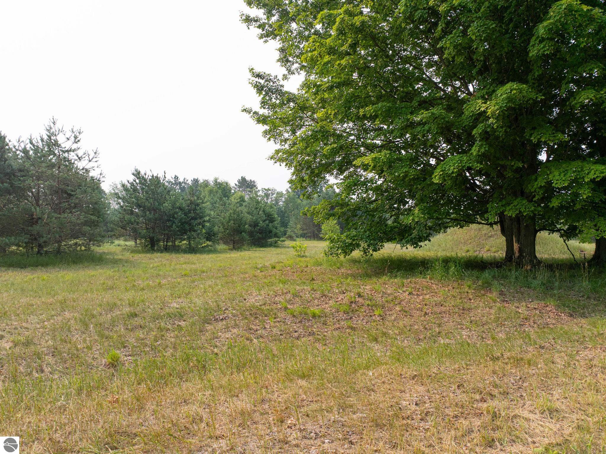 Image 13