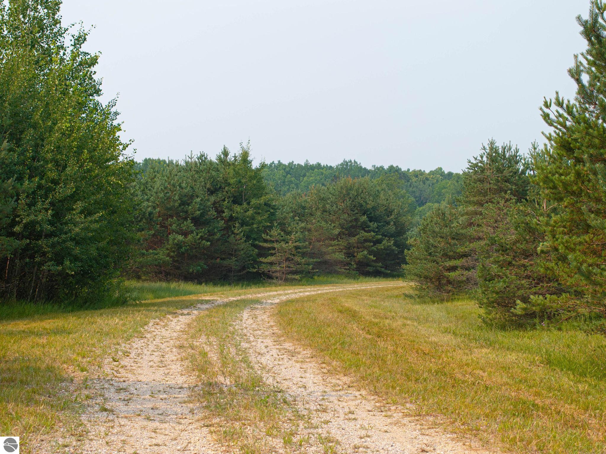 Image 17