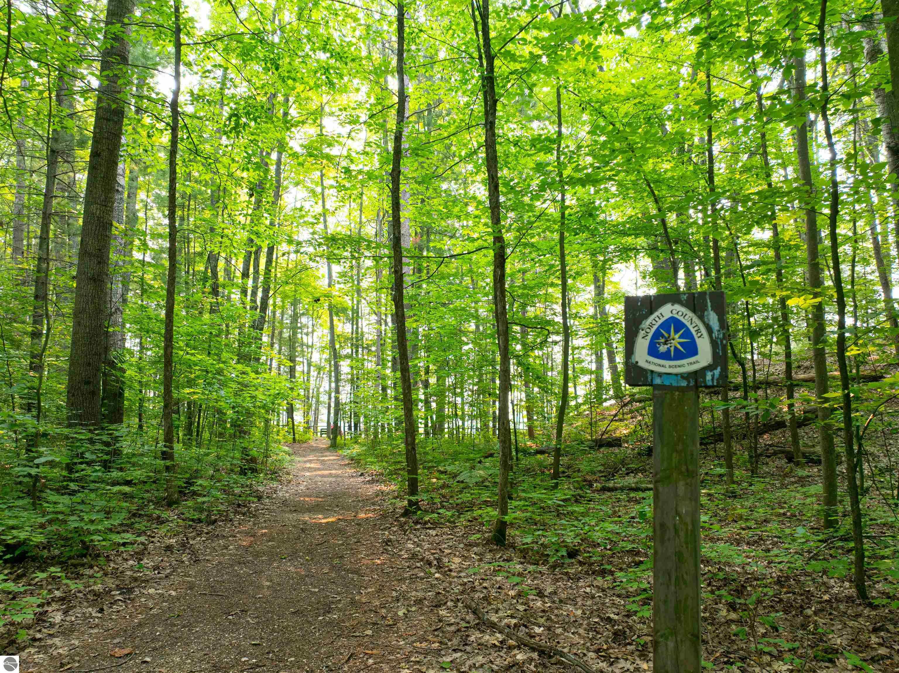 Image 14