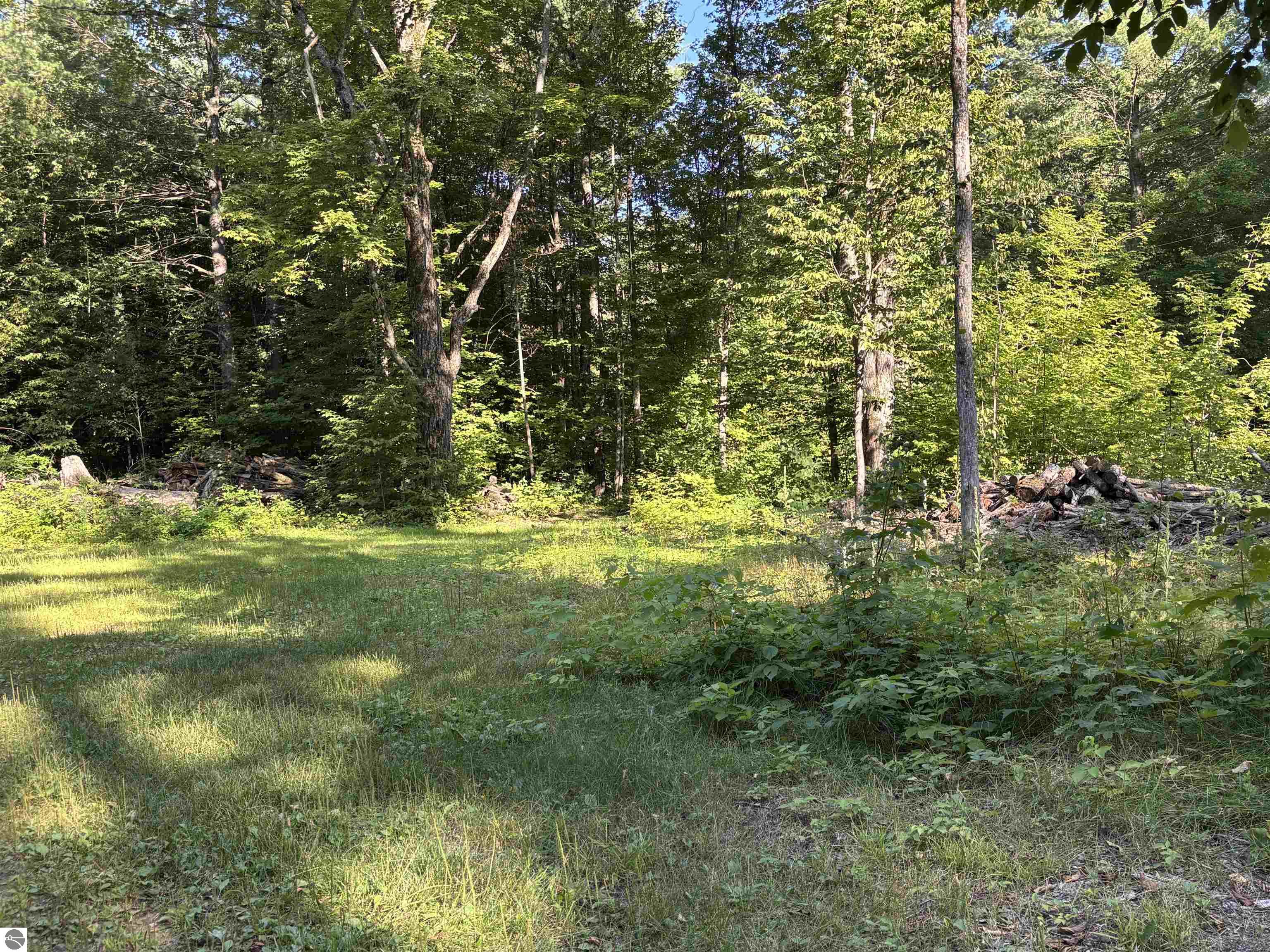 Image 14