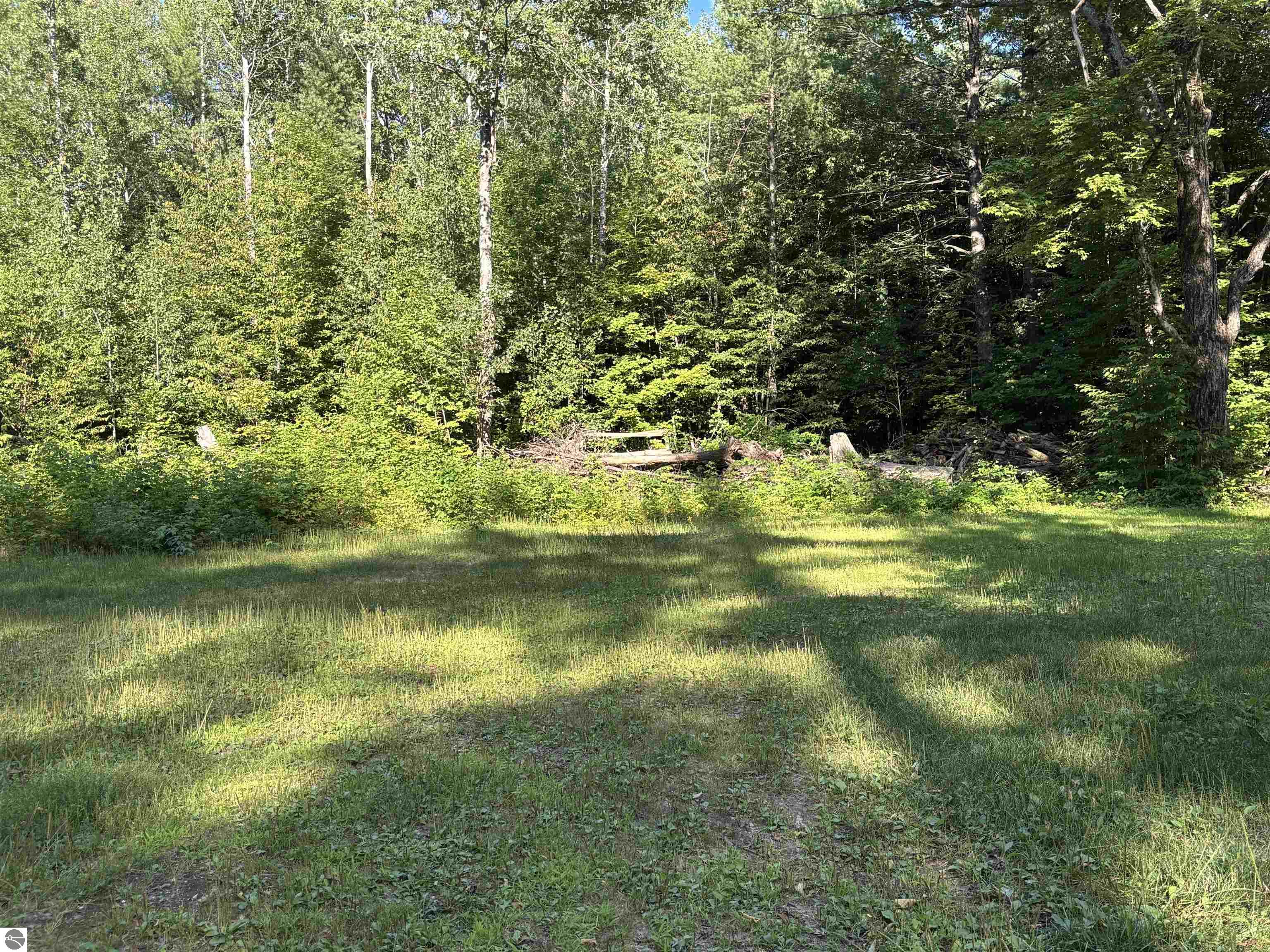 Image 15
