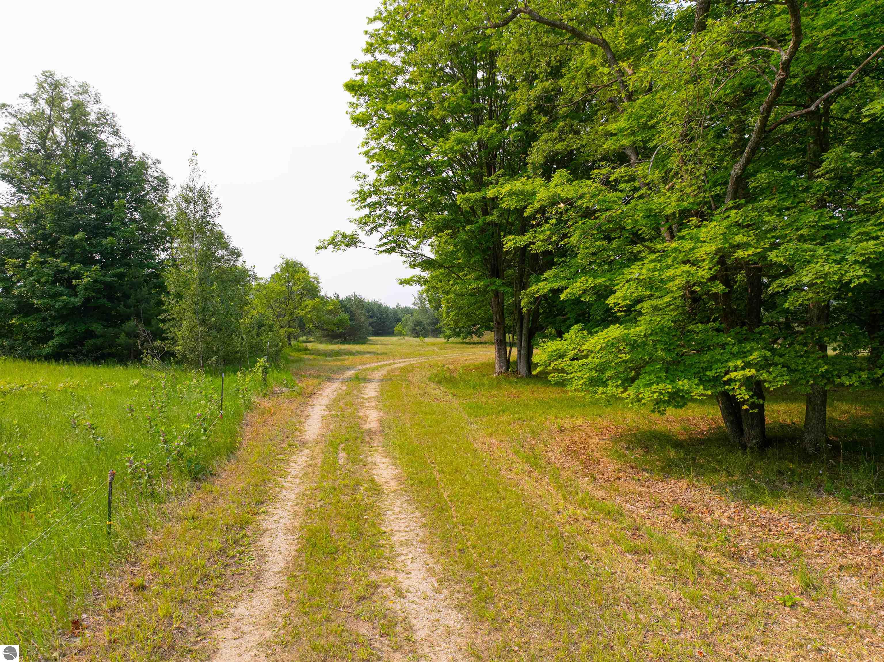 Image 13