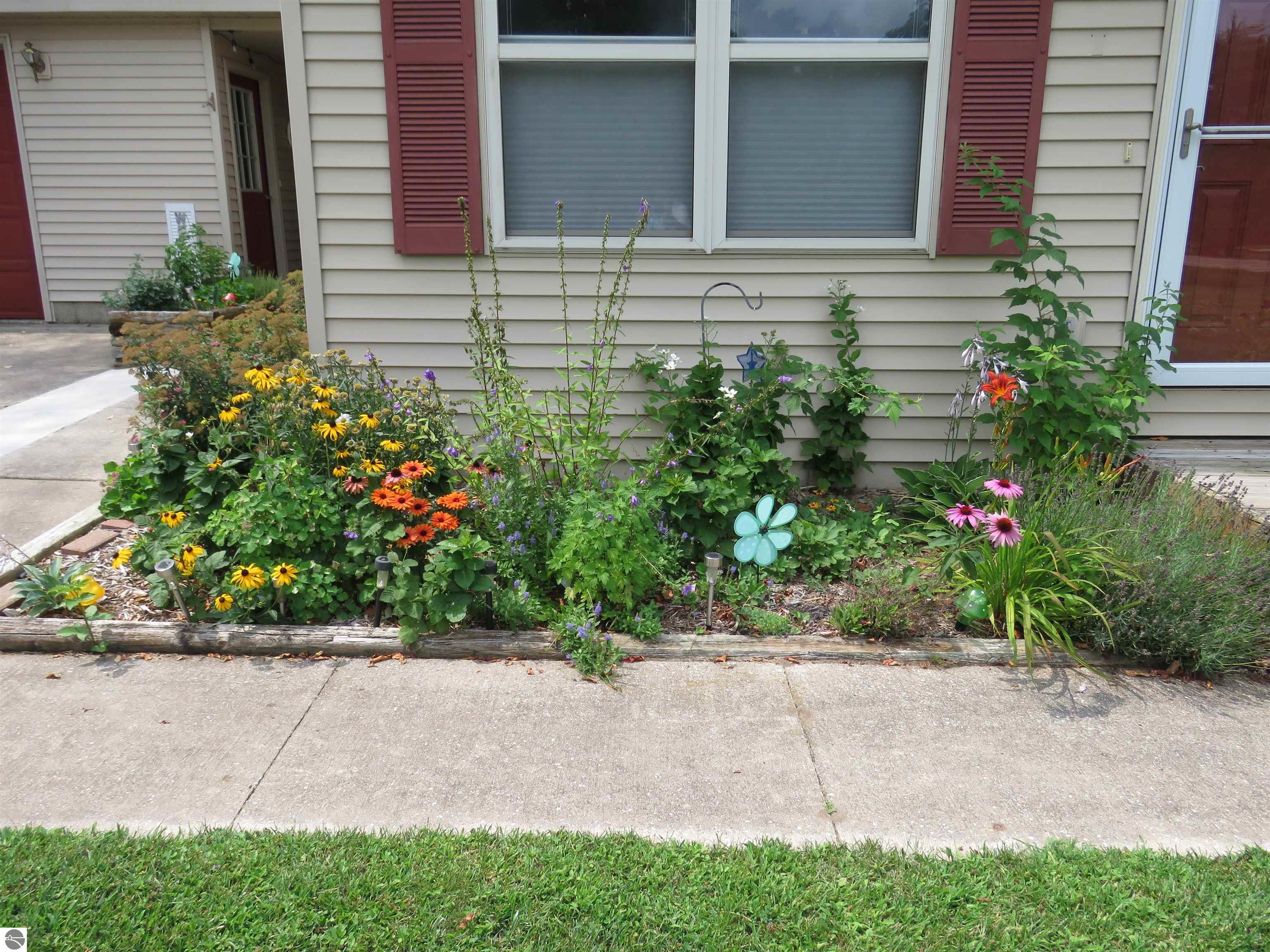 Image 17