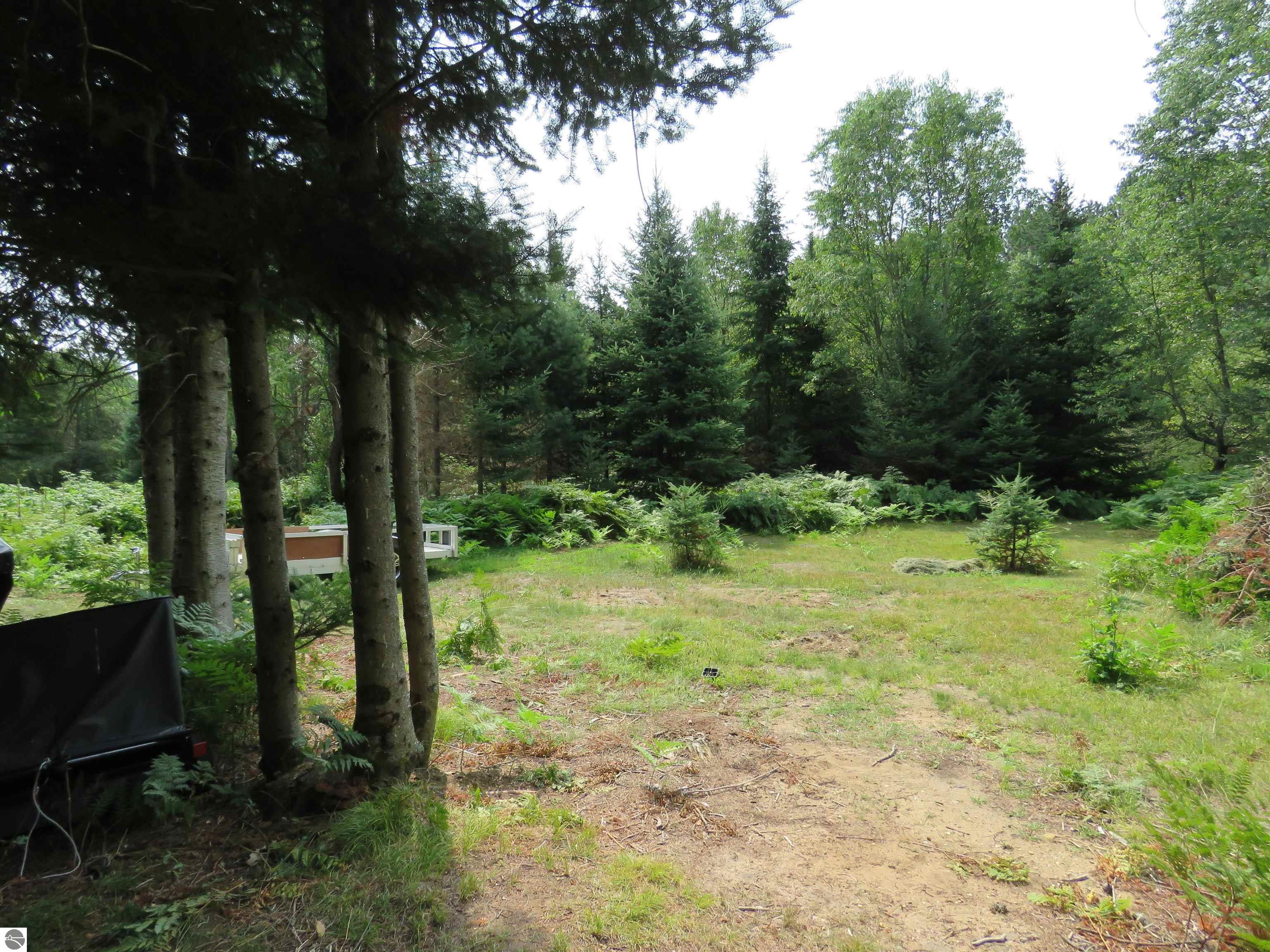 Image 31