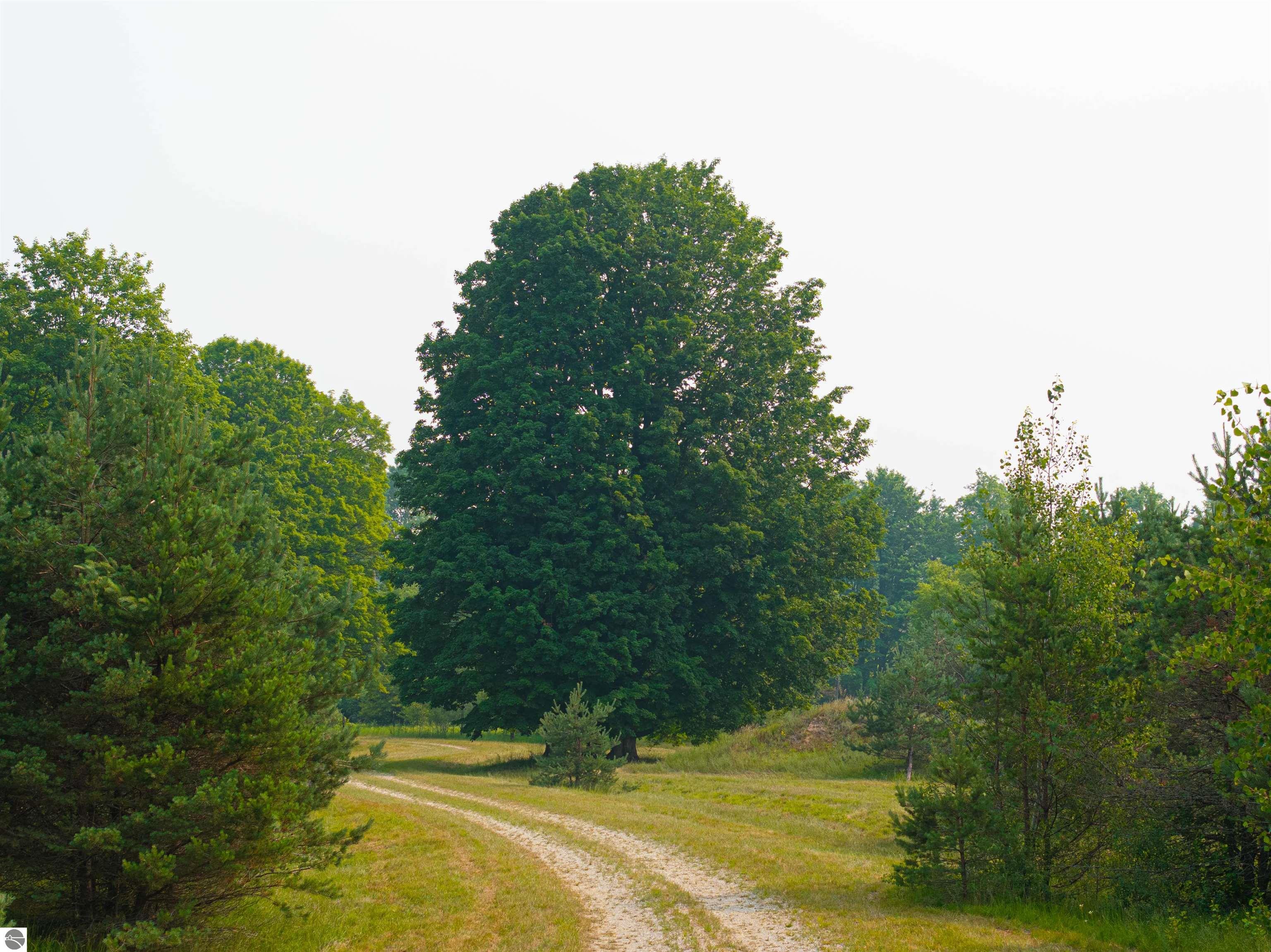 Image 20