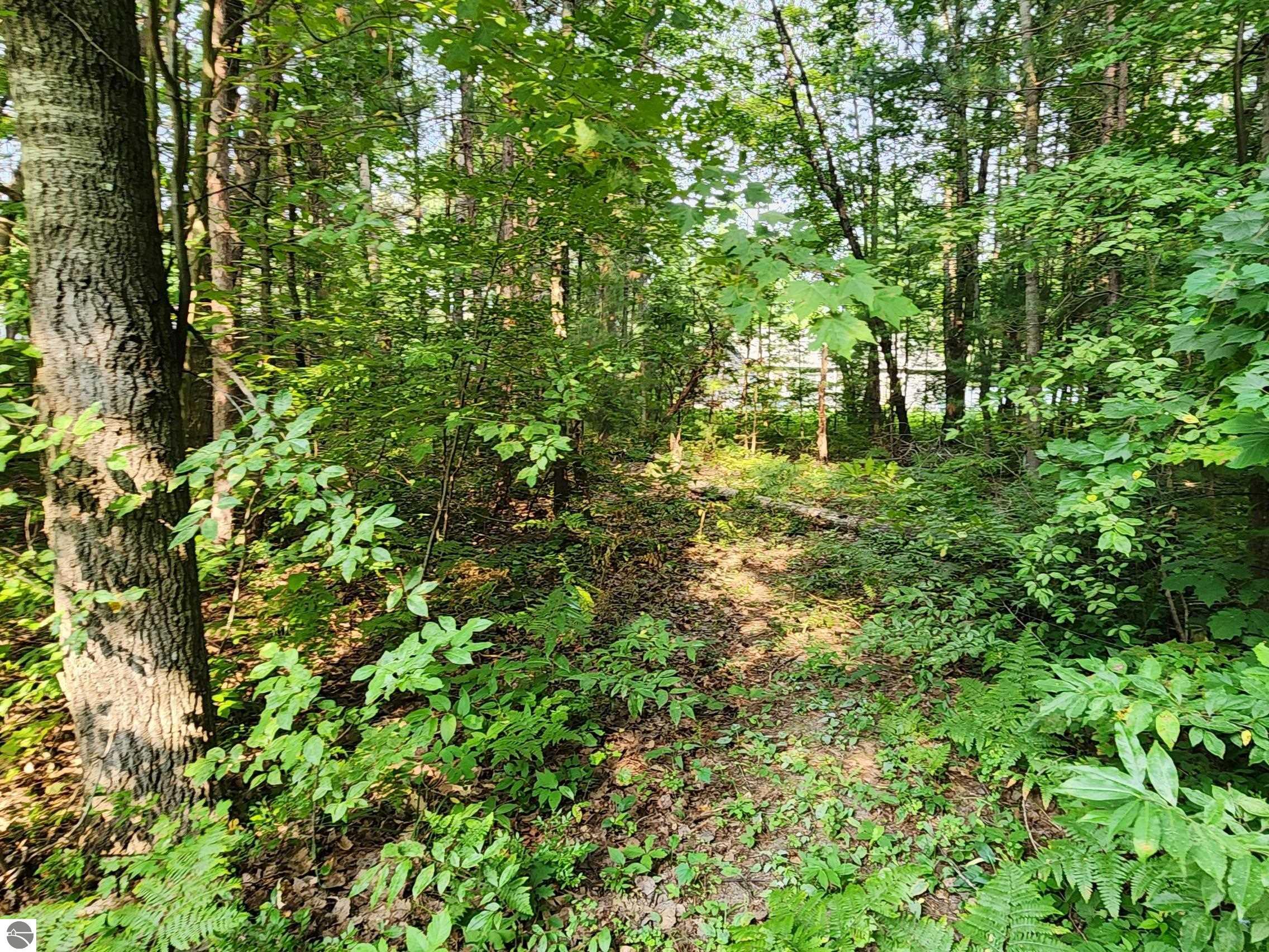 Image 9