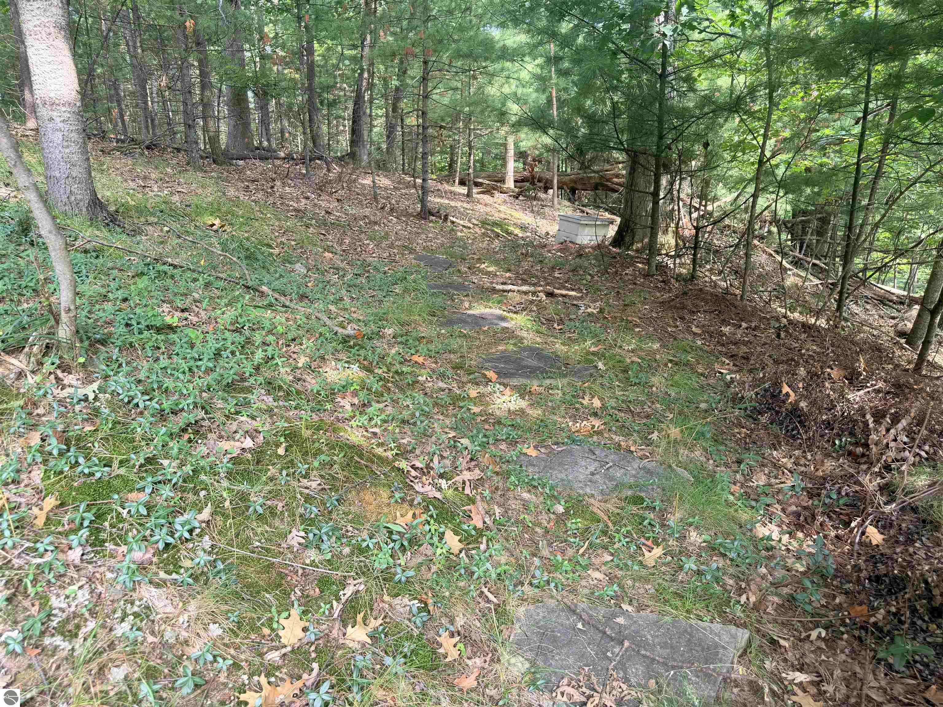 Image 30
